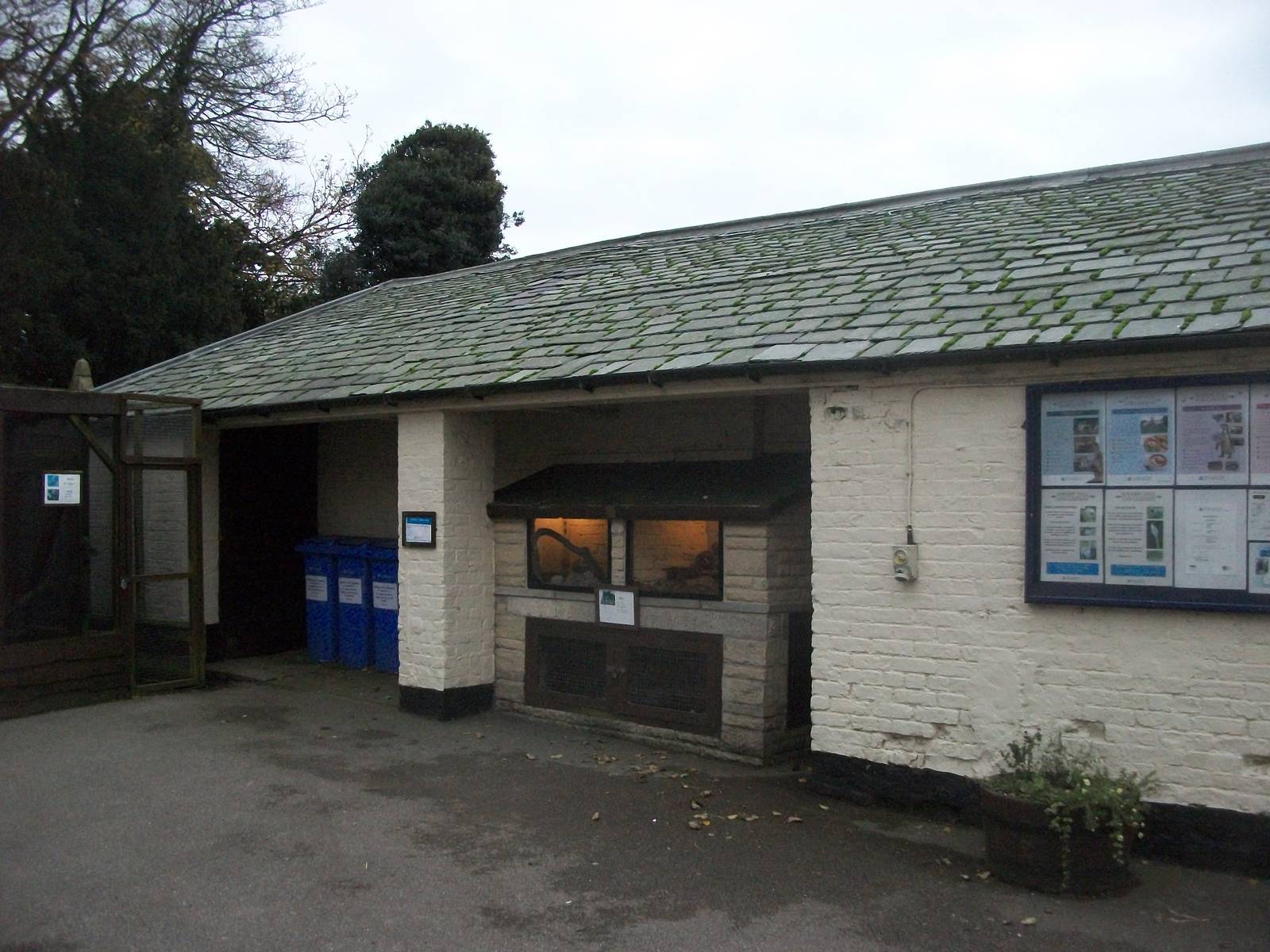 Sewerby Zoo 9th November 2012