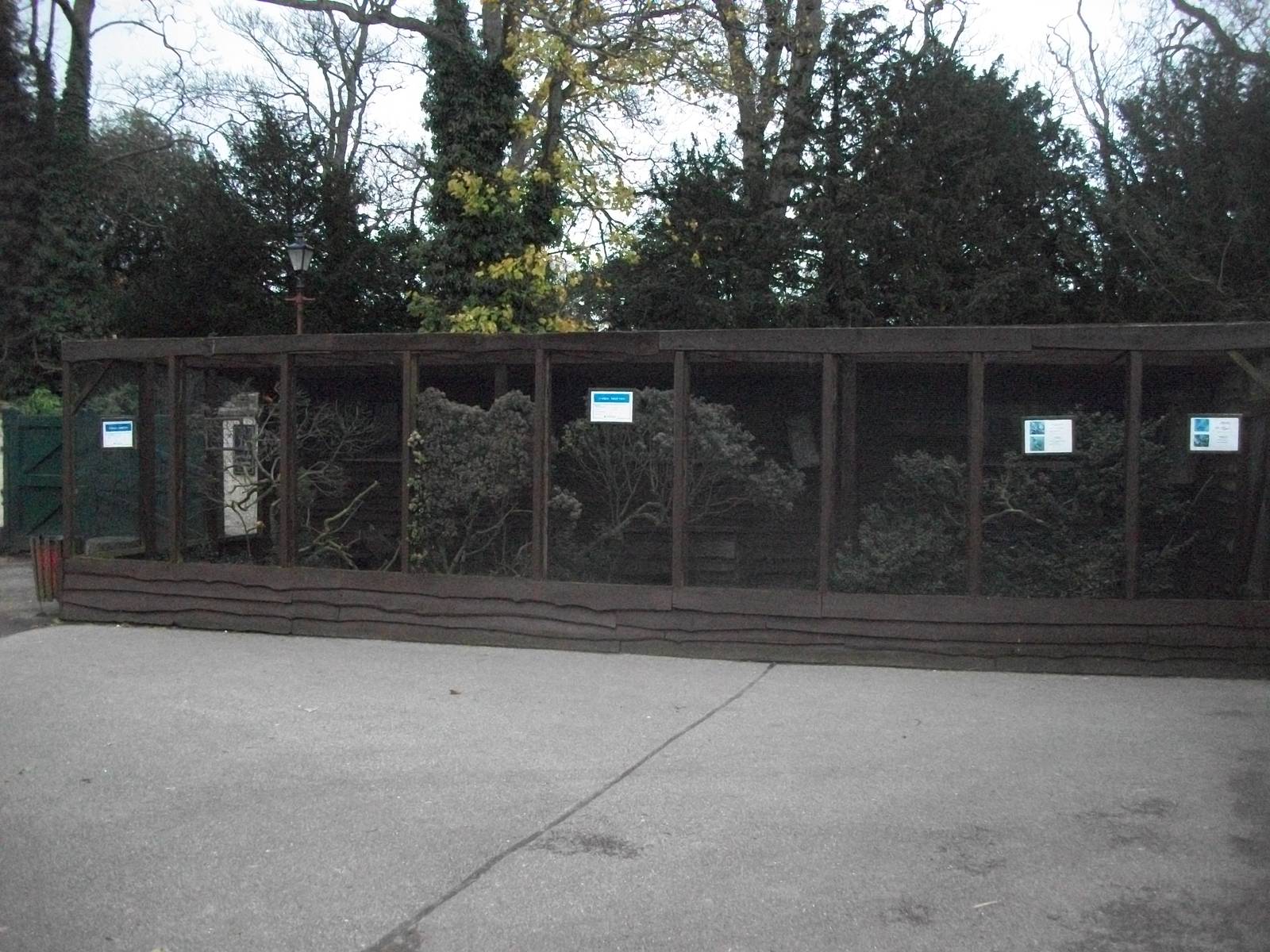 Sewerby Zoo 9th November 2012