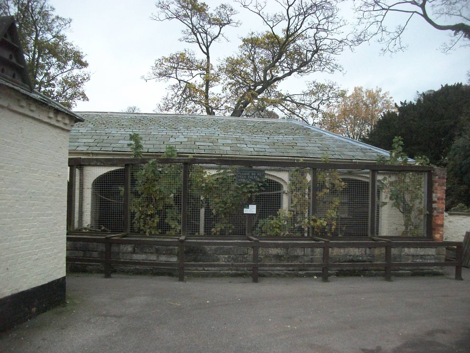 Sewerby Zoo 9th November 2012