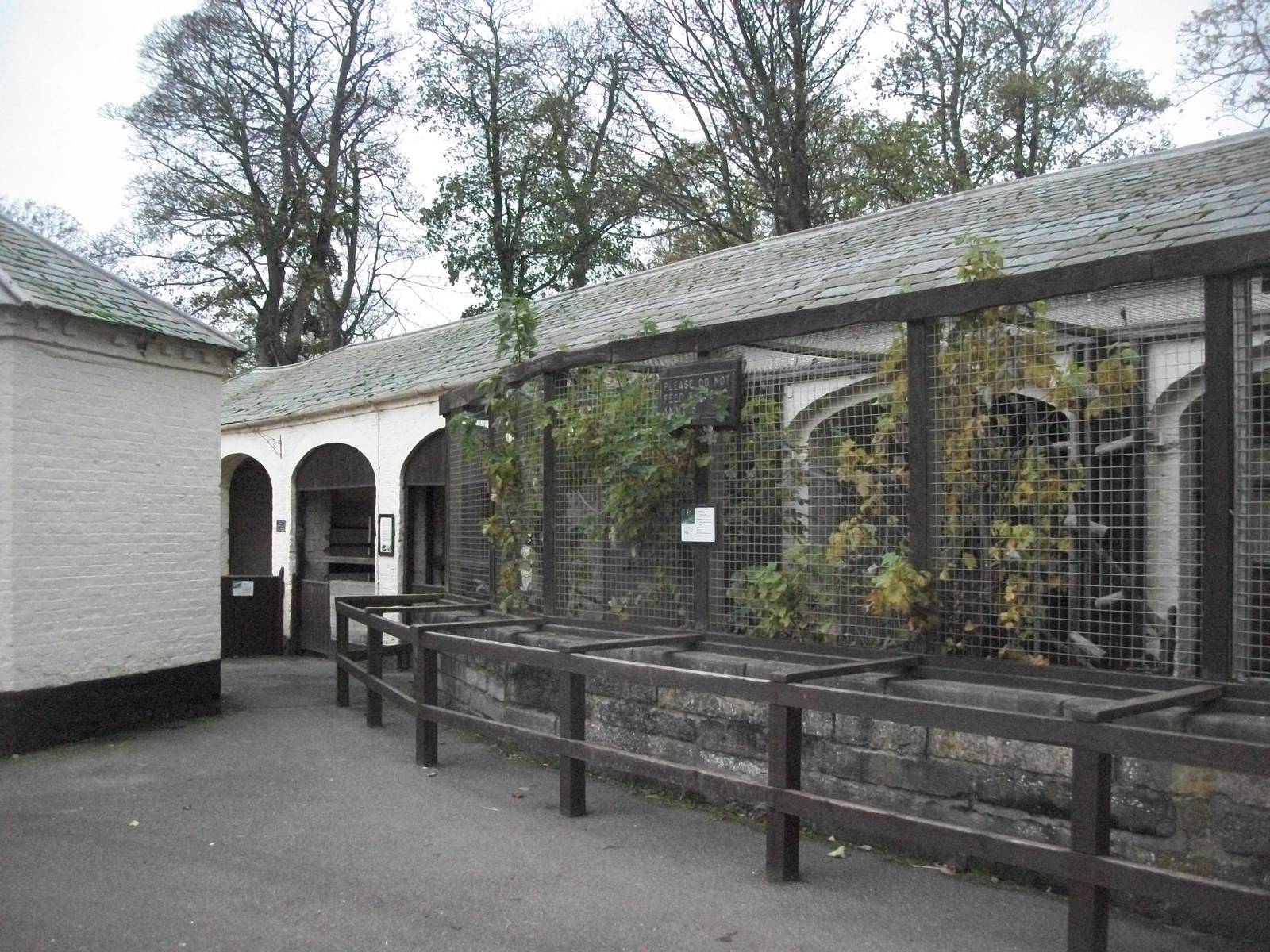 Sewerby Zoo 9th November 2012