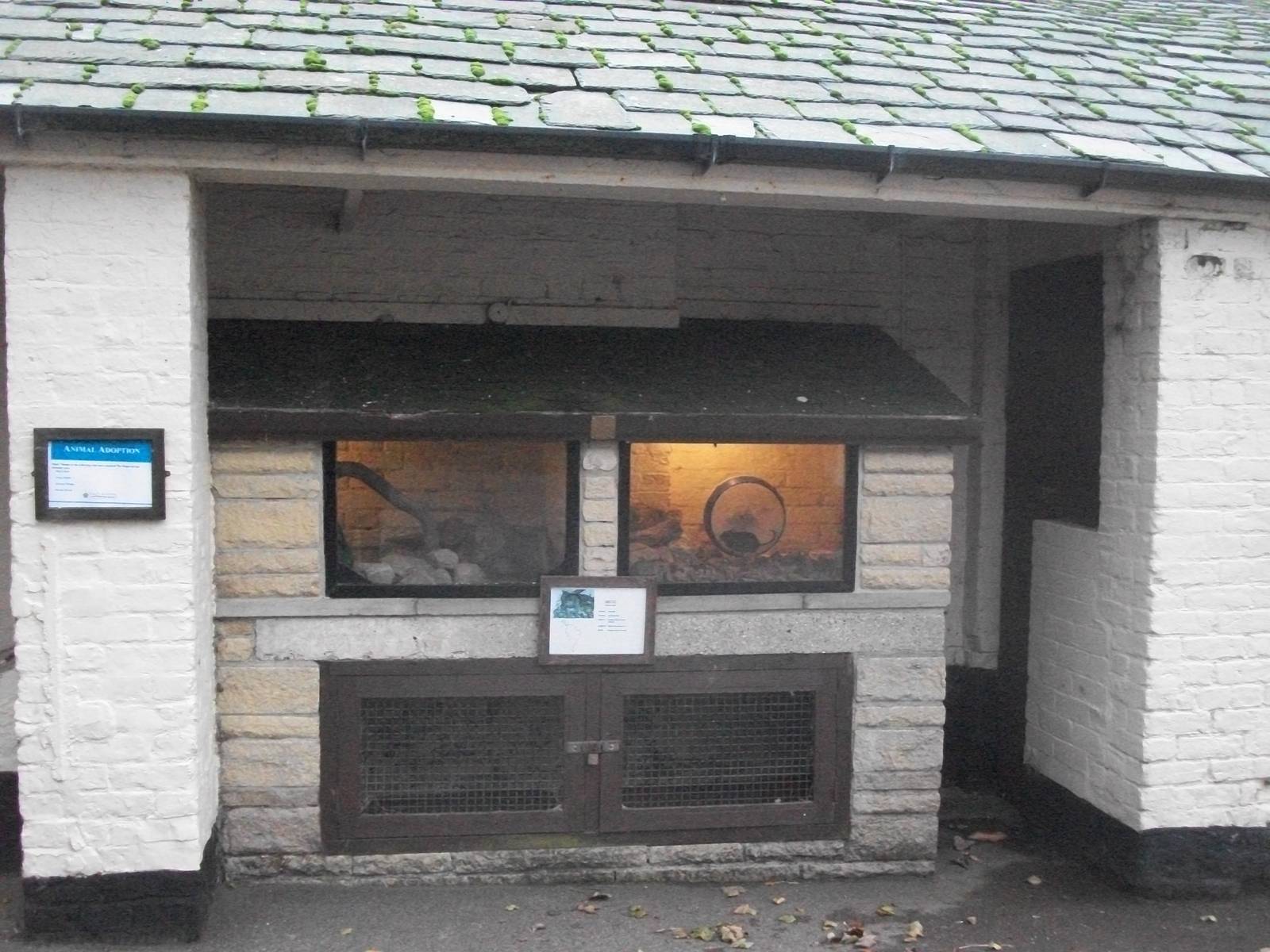 Sewerby Zoo 9th November 2012