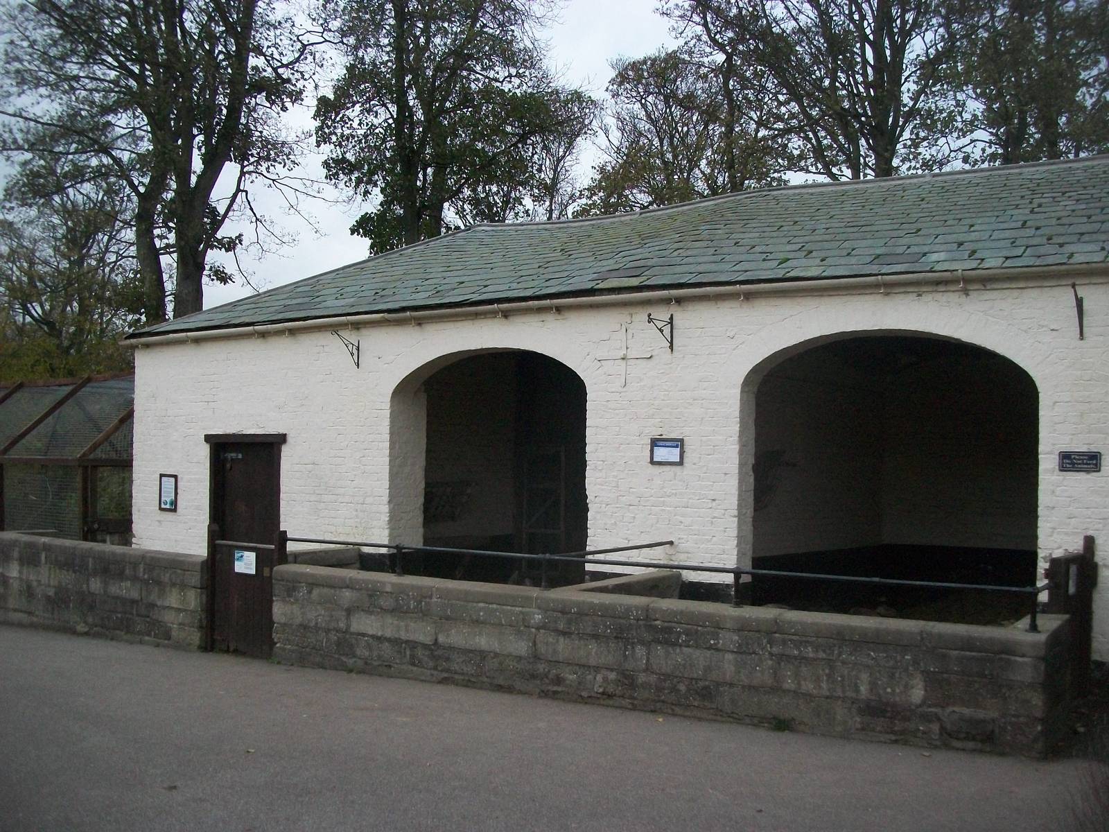 Sewerby Zoo 9th November 2012