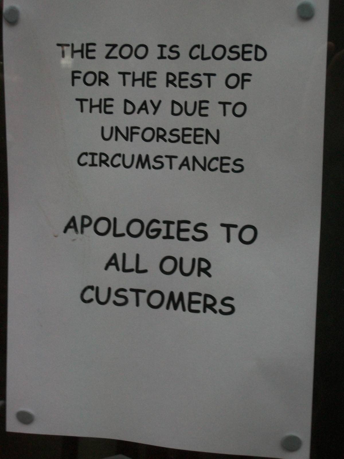 Sewerby Zoo, after Madge I