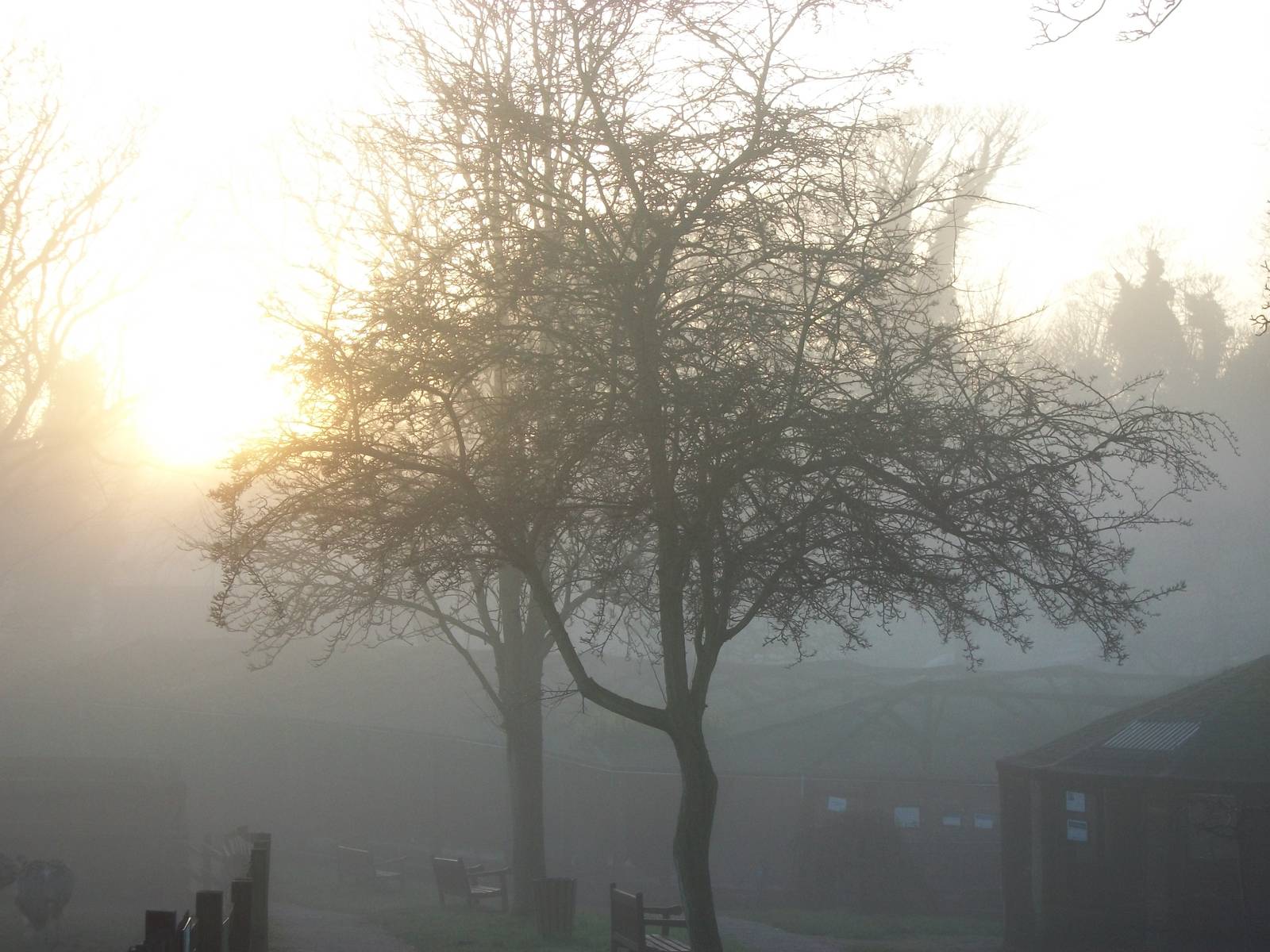 Sewerby Zoo, another sea fret at Bridlington 16th December 2012