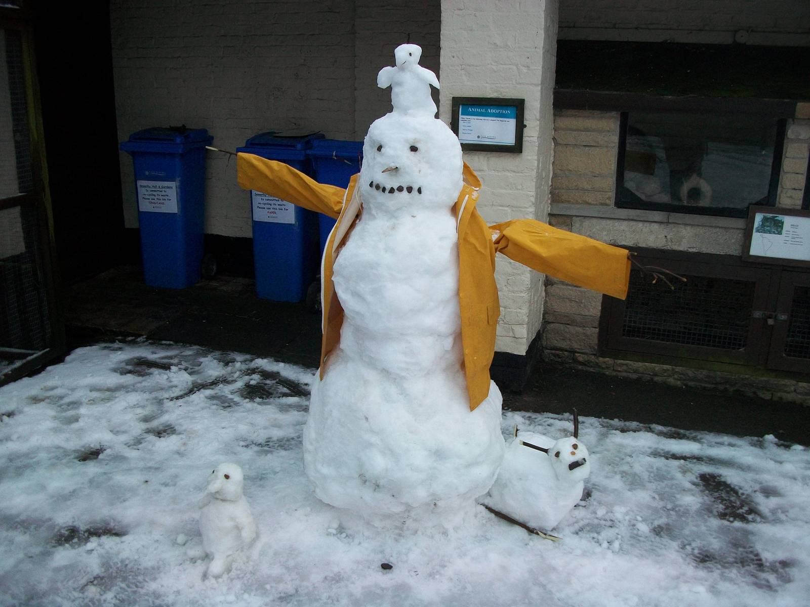 Sewerby Zoo becomes Snowerby Zoo, 26th January 2013