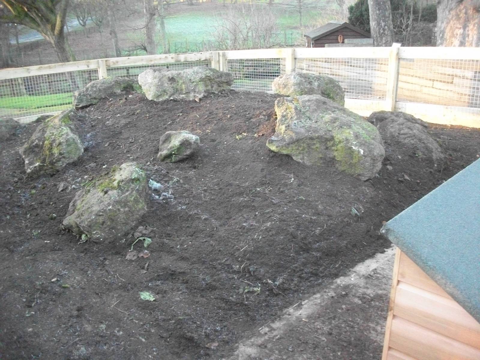 Sewerby Zoo, Cavy Country almost complete 13th December 2012