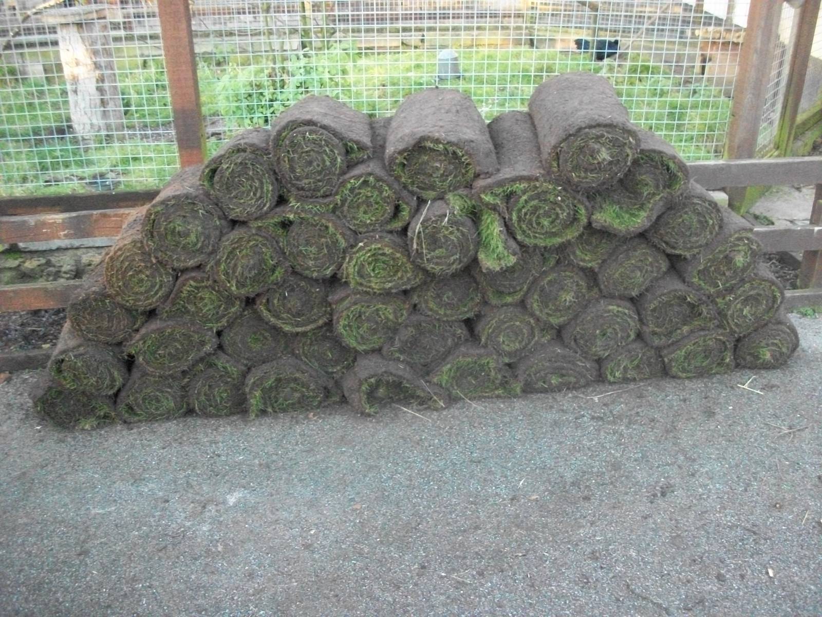 Sewerby Zoo, Cavy Country almost complete 13th December 2012