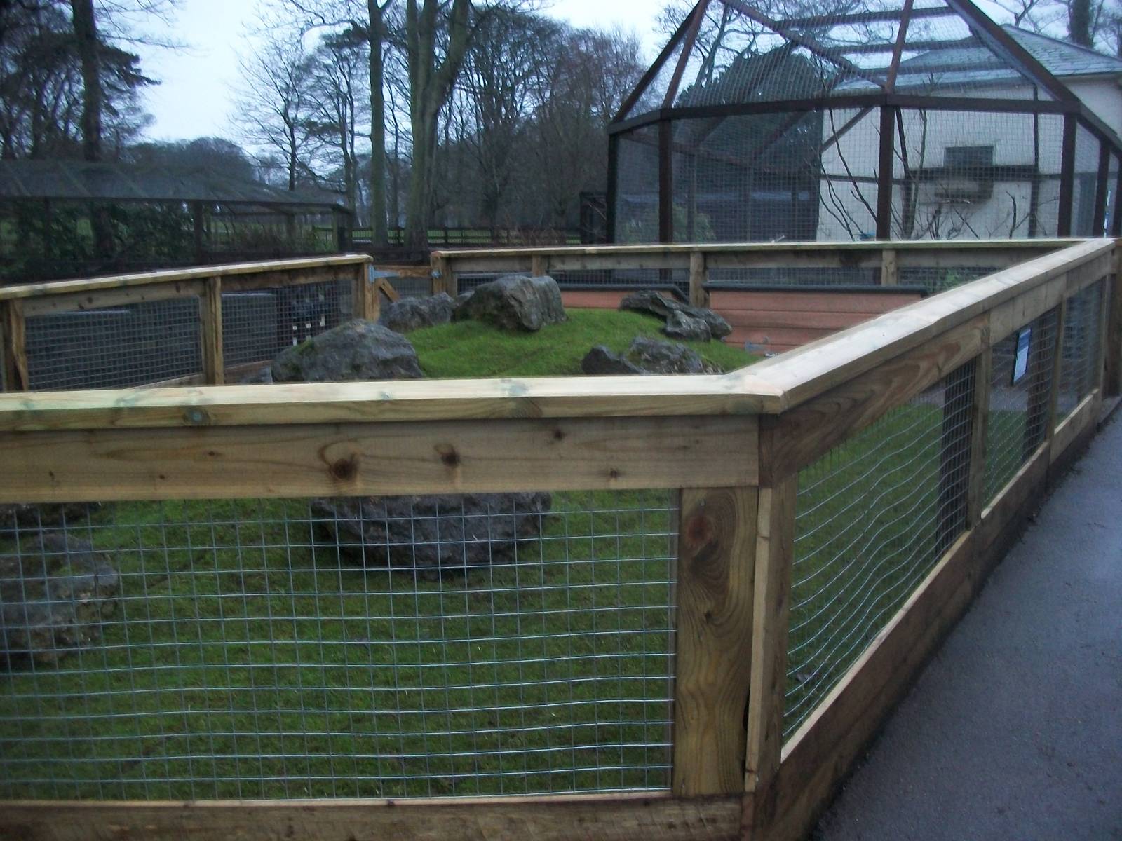 Sewerby Zoo, Cavy Country - the latest picture! 22nd December 2012