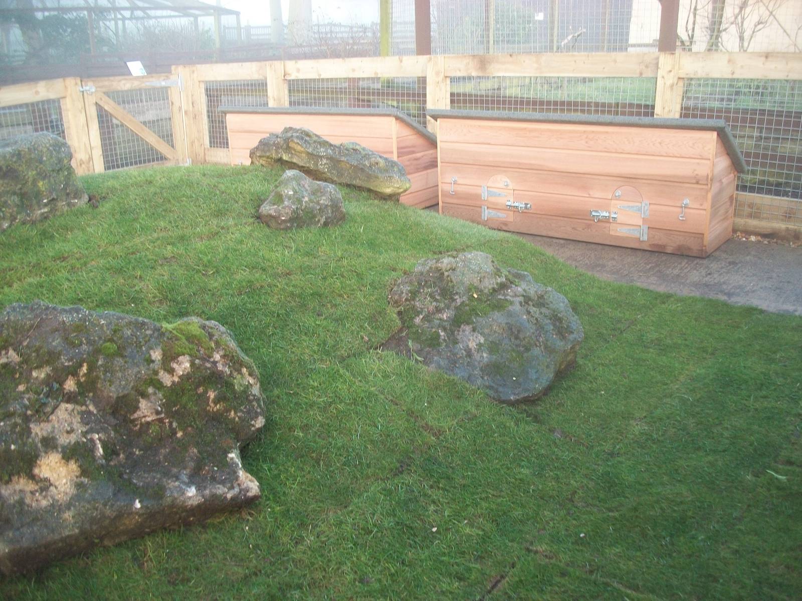 Sewerby Zoo, Cavy Country - the turf has been laid! 16th December 2012