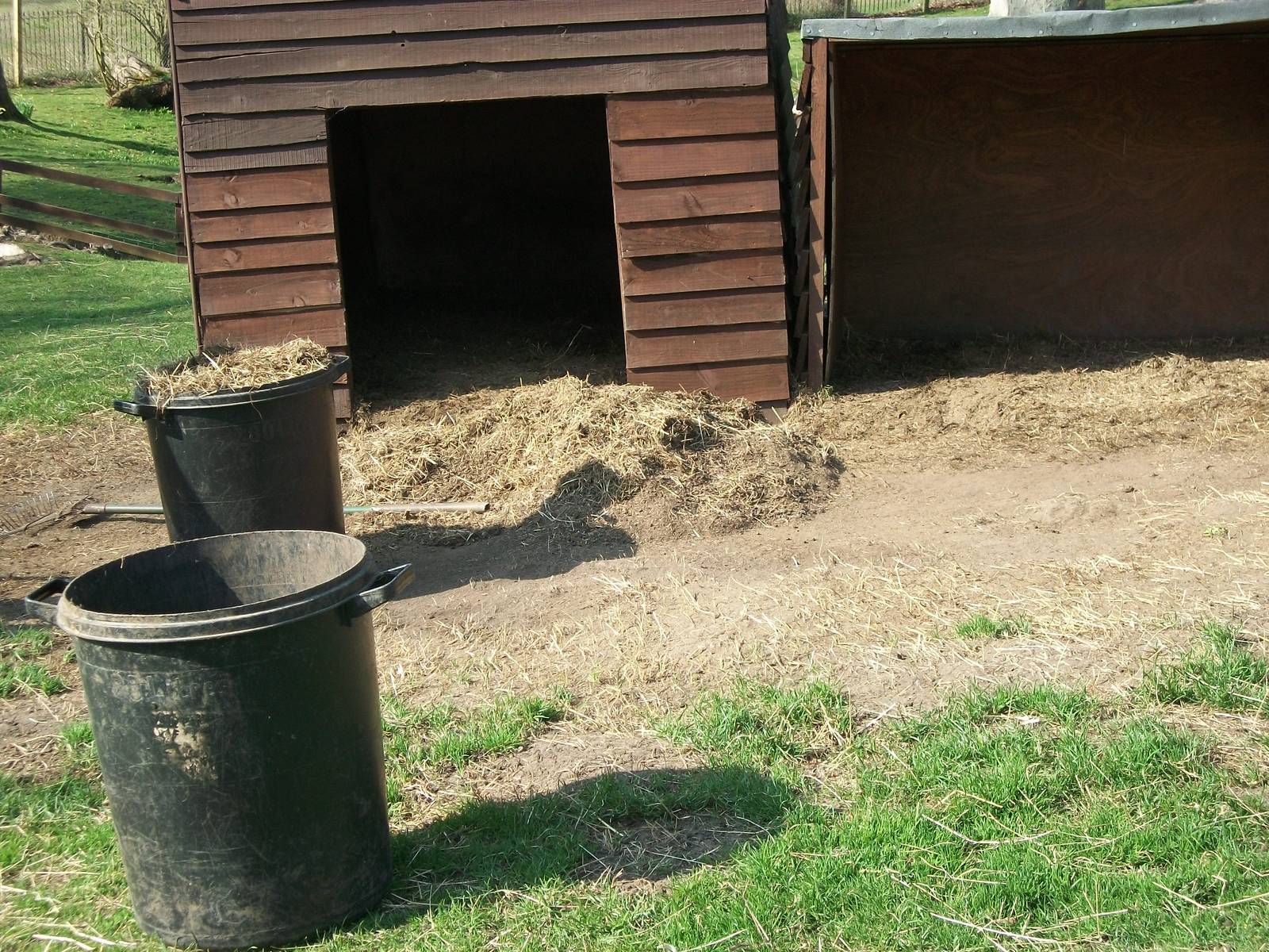 Sewerby Zoo, cleaning operations in the paddock for Pygmy Goats and Cameroo