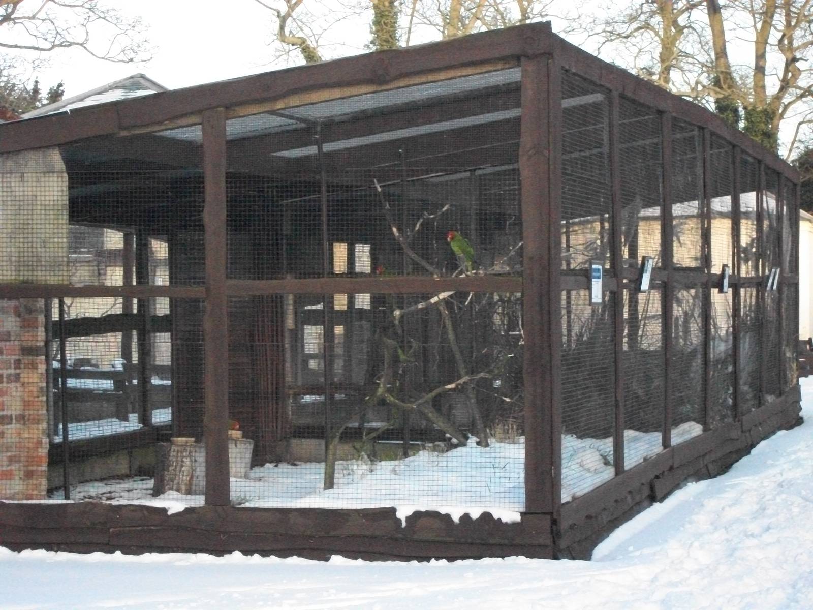 Sewerby Zoo, Conures/Parakeets Aviary 5th February 2012