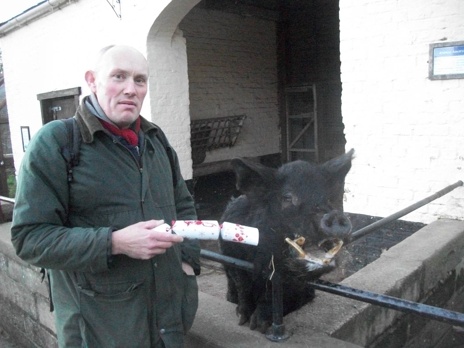 Sewerby Zoo, festive fun 23rd December 2012