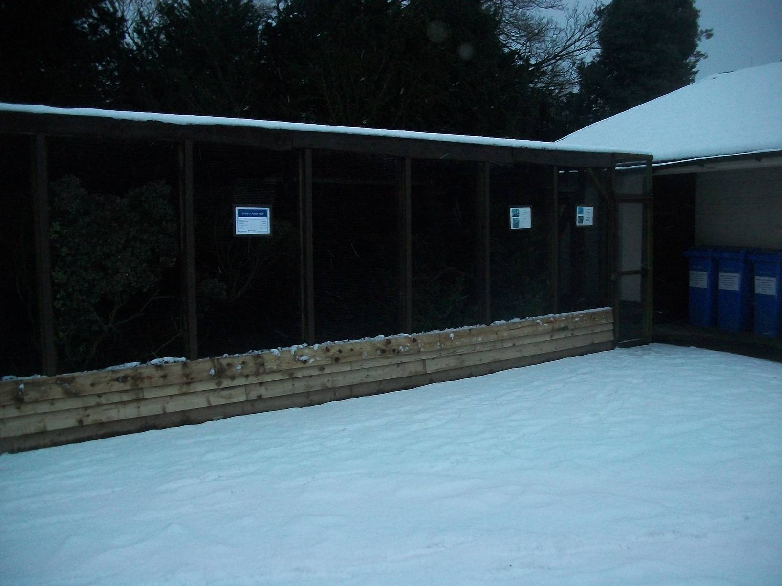 Sewerby Zoo, finch aviary 18th January 2013