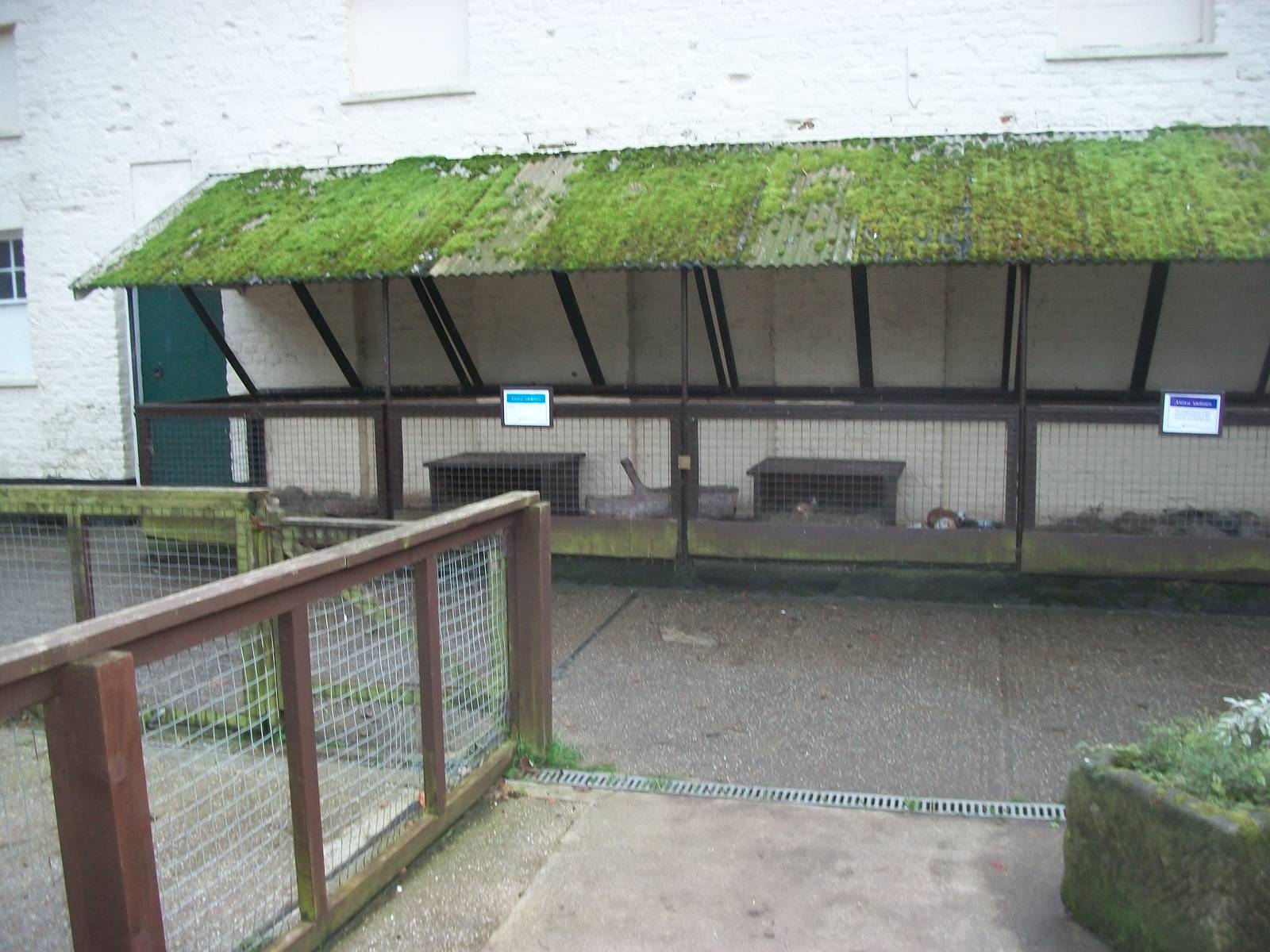 Sewerby Zoo, goodbye to the zoo yard 4th November 2012