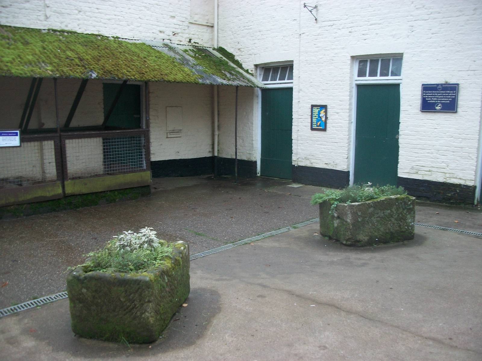 Sewerby Zoo, goodbye to the zoo yard 4th November 2012