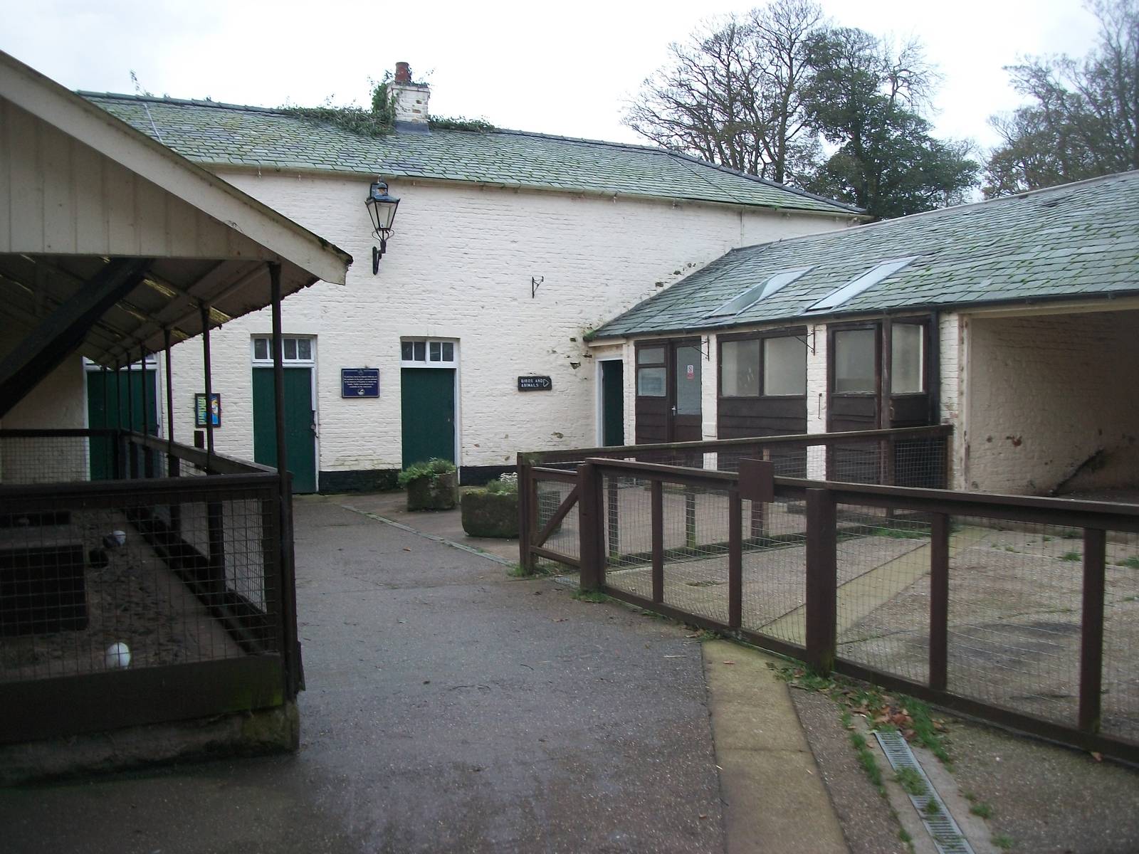 Sewerby Zoo, goodbye to the zoo yard 4th November 2012