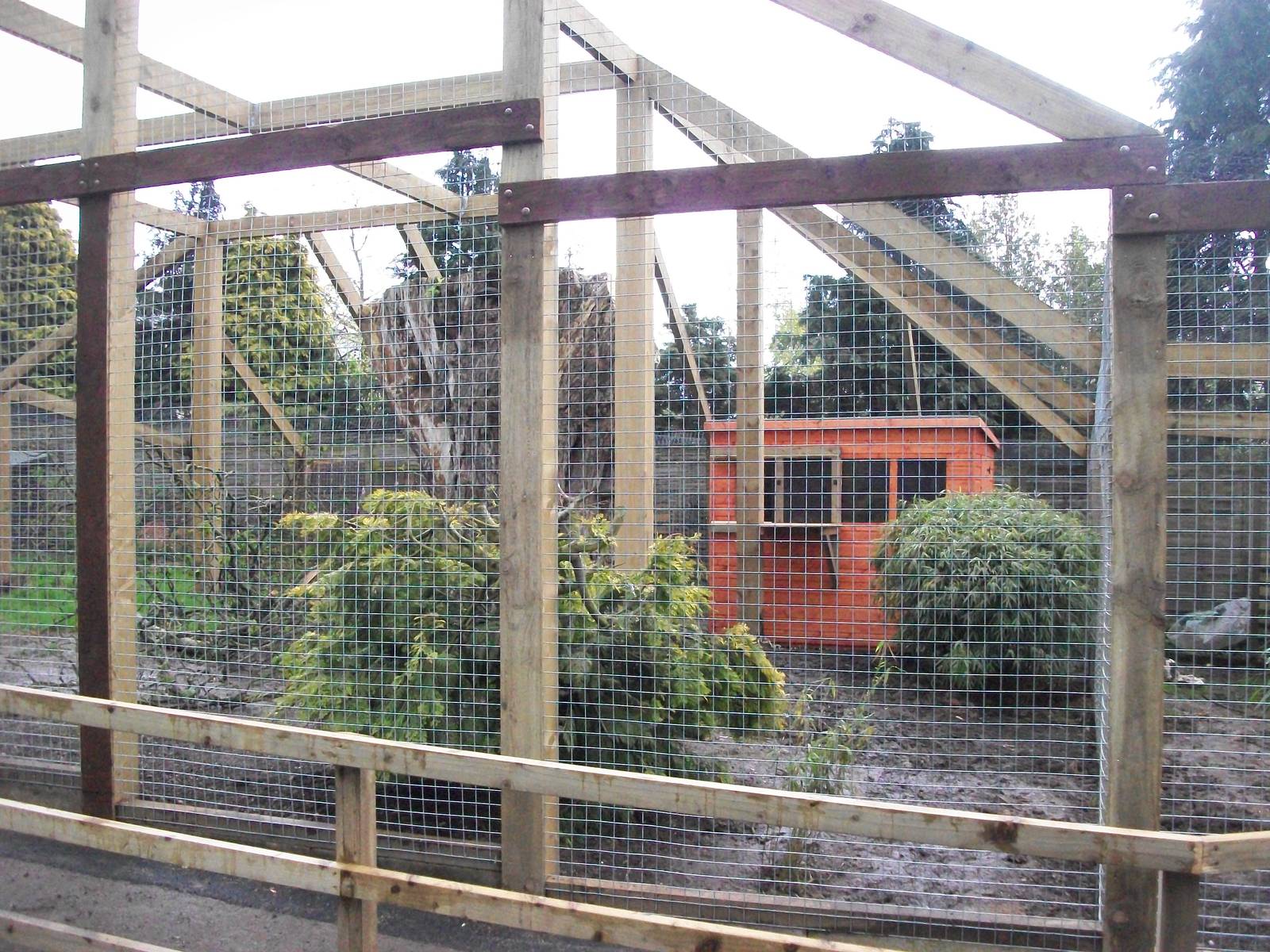 Sewerby Zoo, "Lemur Land" almost there 11th May 2012