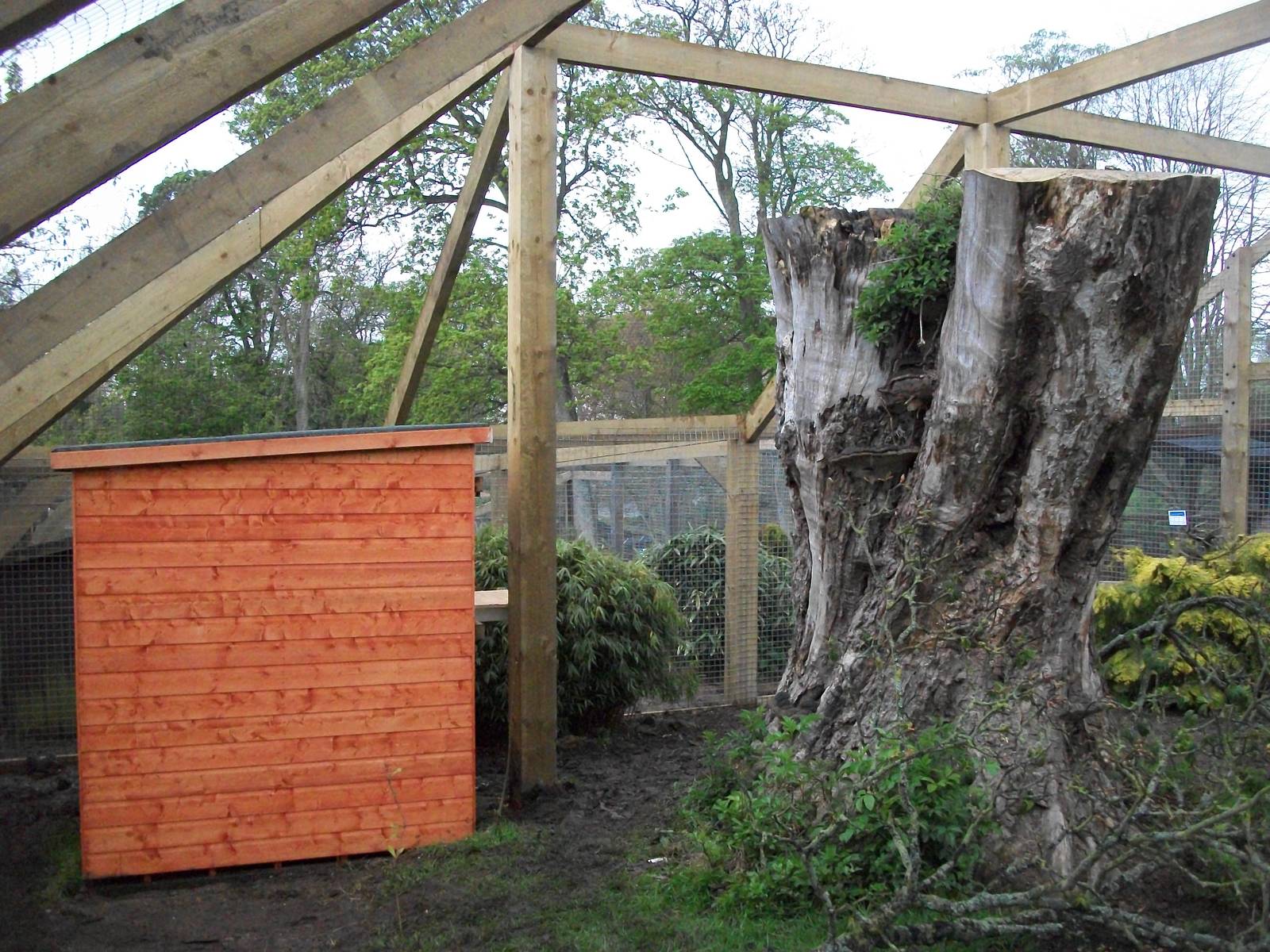 Sewerby Zoo, "Lemur Land" almost there 11th May 2012