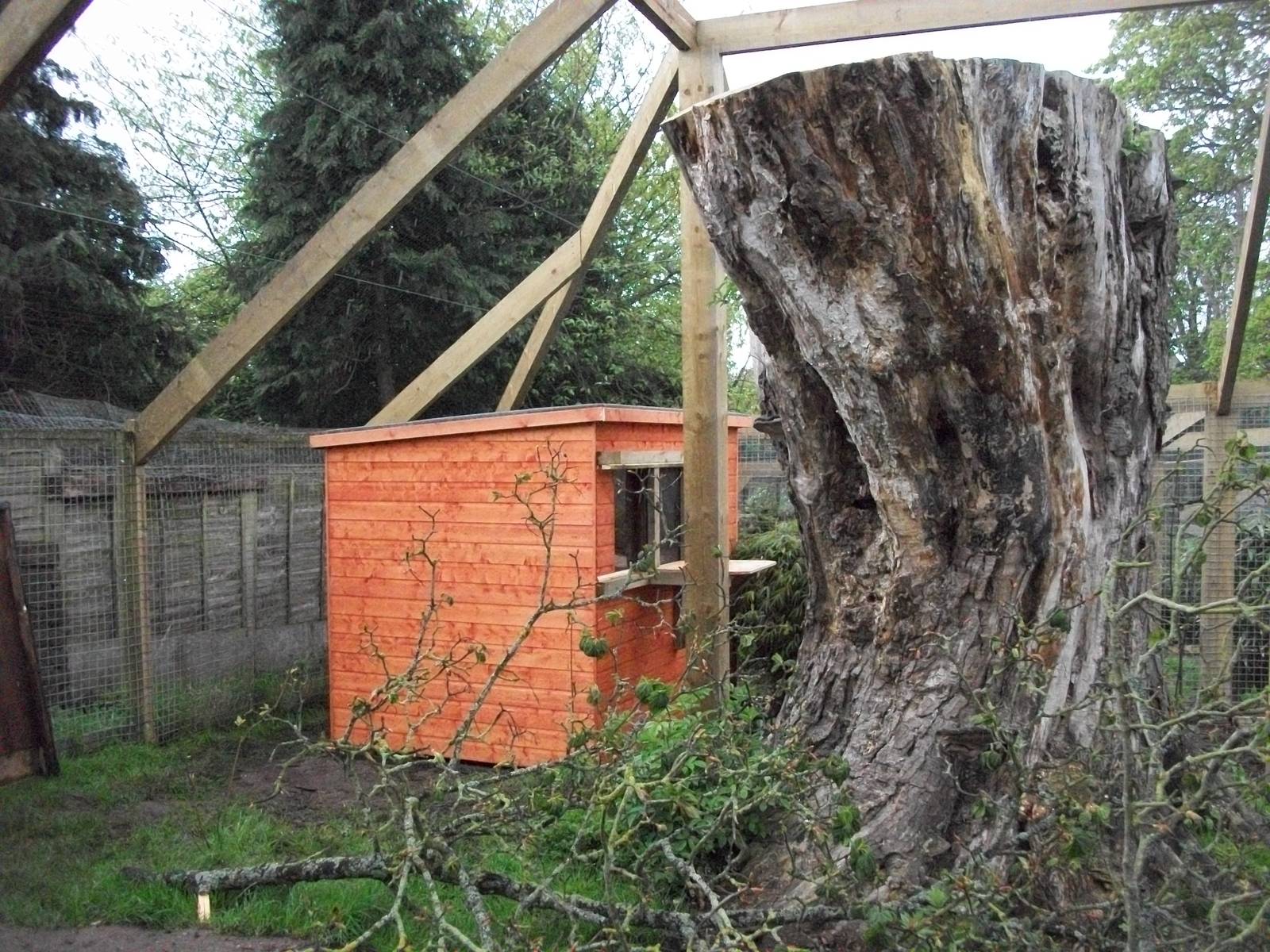 Sewerby Zoo, "Lemur Land" almost there 11th May 2012