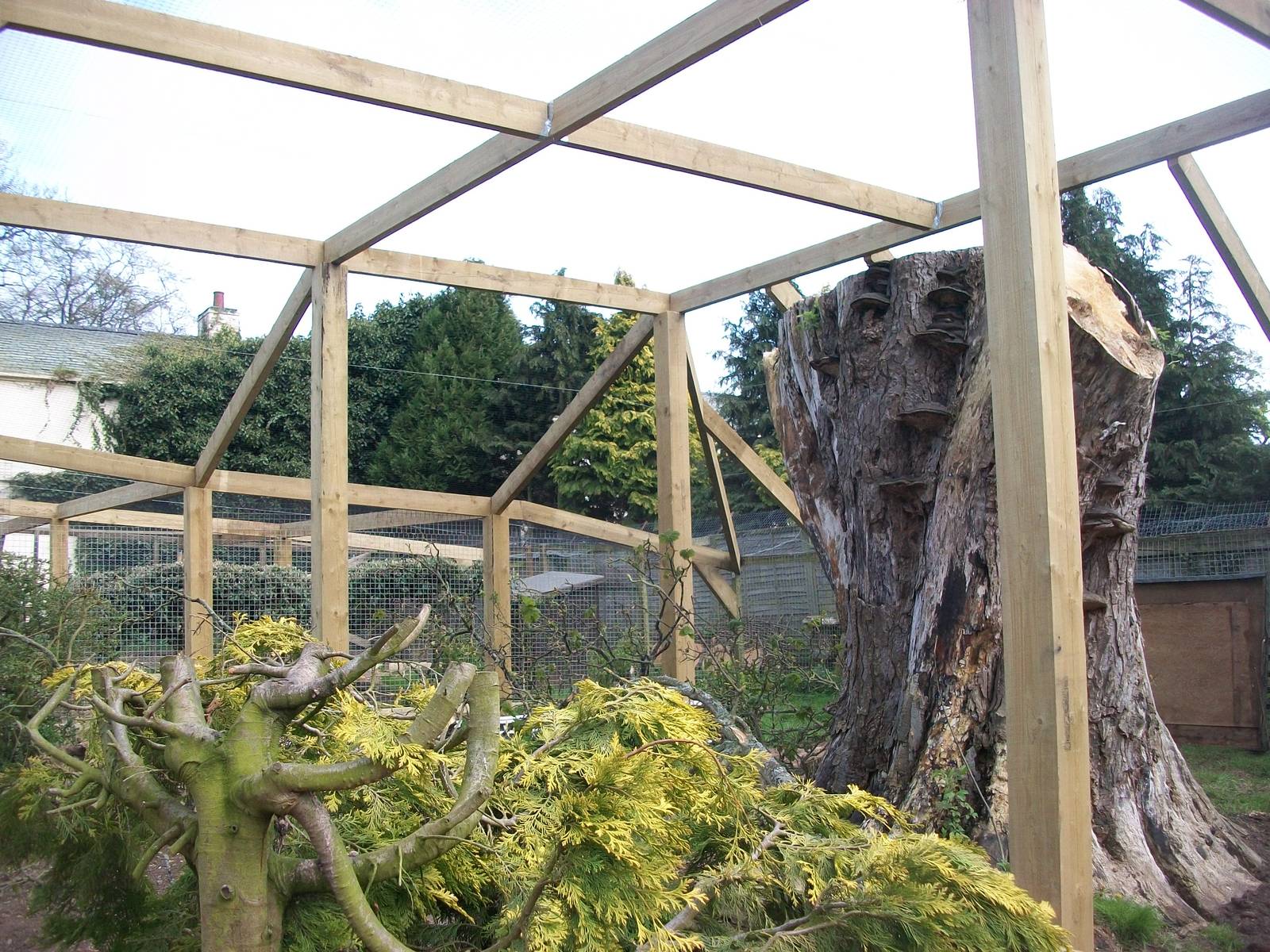 Sewerby Zoo, "Lemur Land" nearing completion 5th May 2012