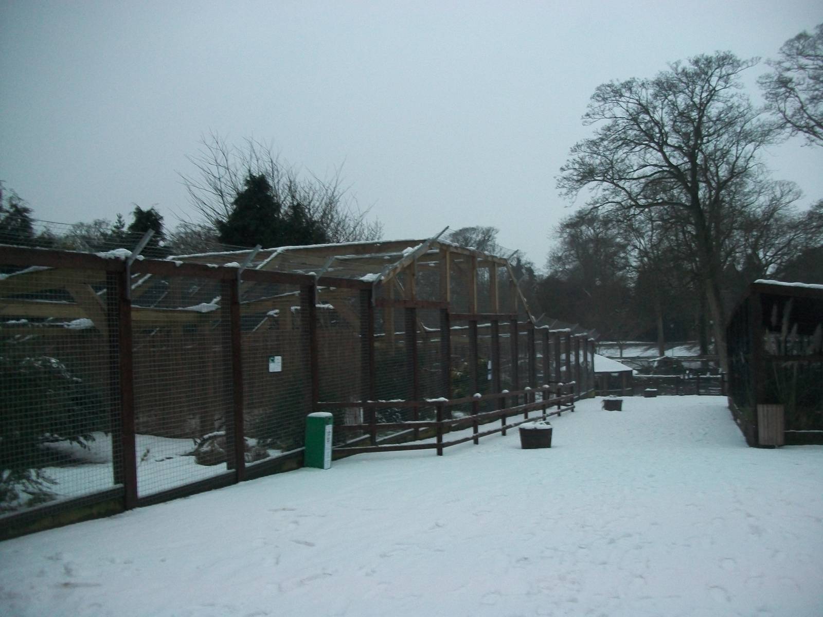 Sewerby Zoo, looking down the zoo 18th January 2013
