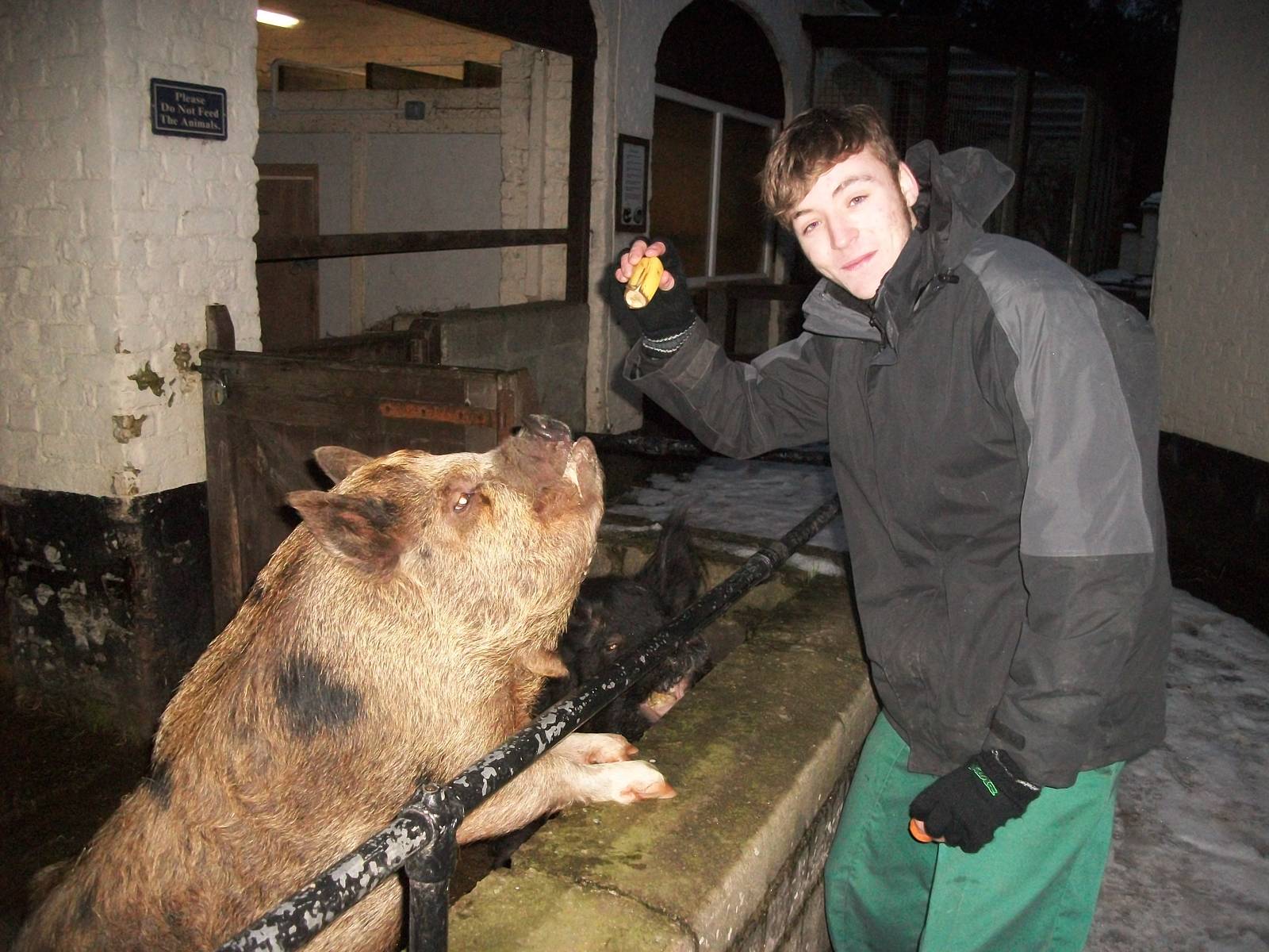 Sewerby Zoo, madgeandshane training Pepper 19th January 2013