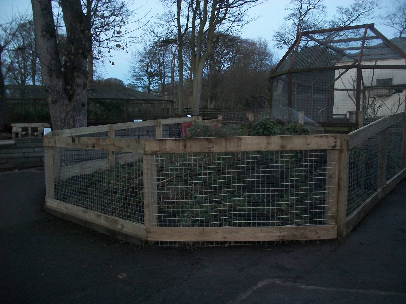 Sewerby Zoo, new Guinea Pig exhibit under construction 30th November 2012