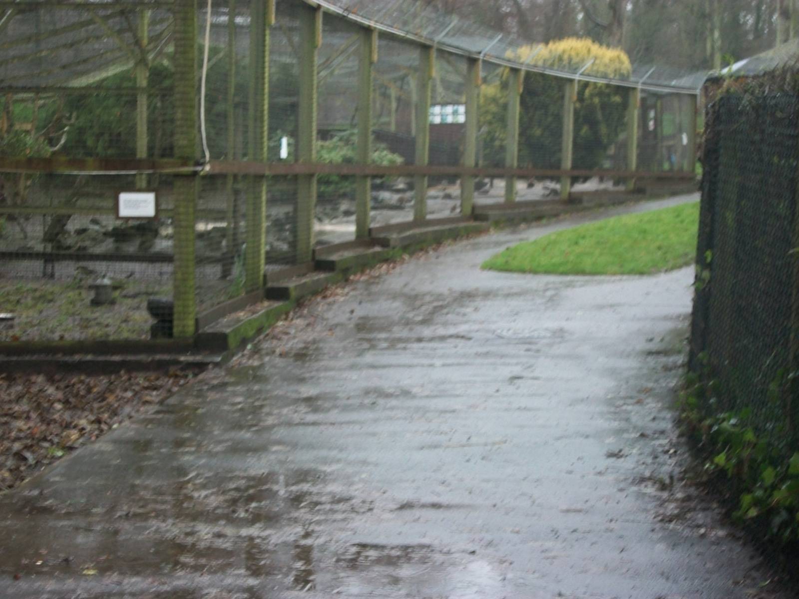 Sewerby Zoo, no winter wonderland - soggy instead 24th December 2012