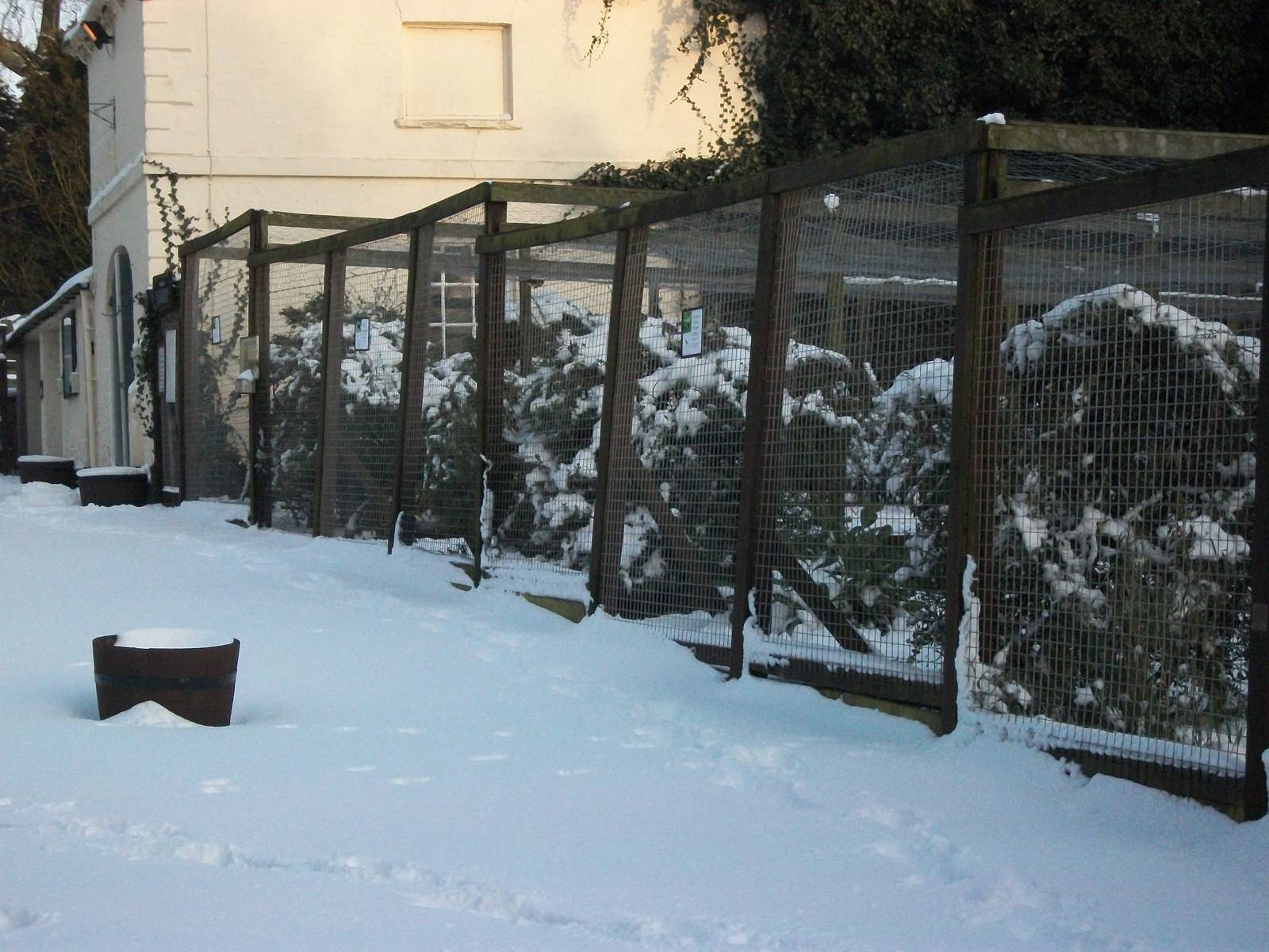 Sewerby Zoo, Pheasant Pens 5th February 2012