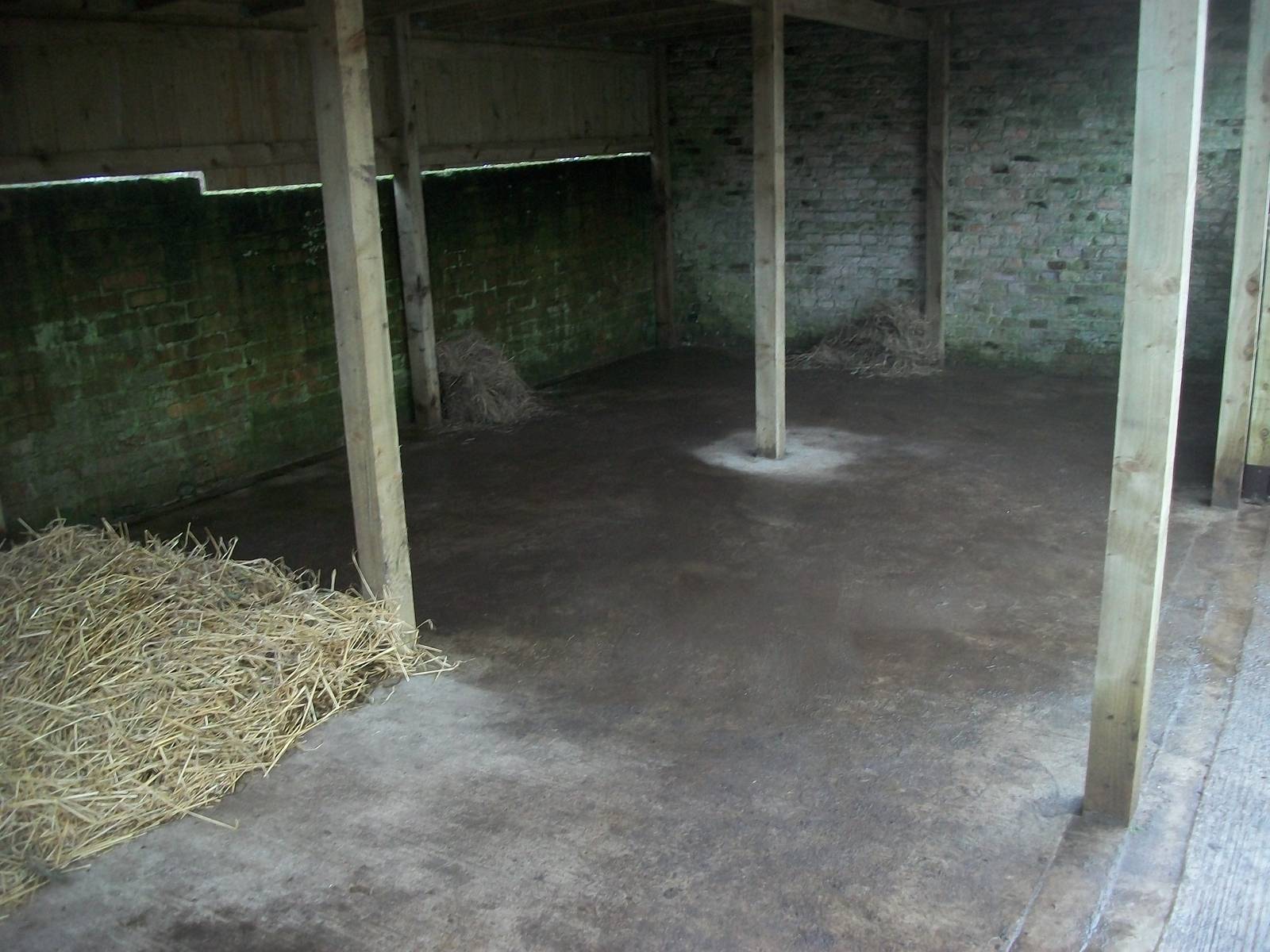 Sewerby Zoo, ready for Caramel and Madge  15th December 2012