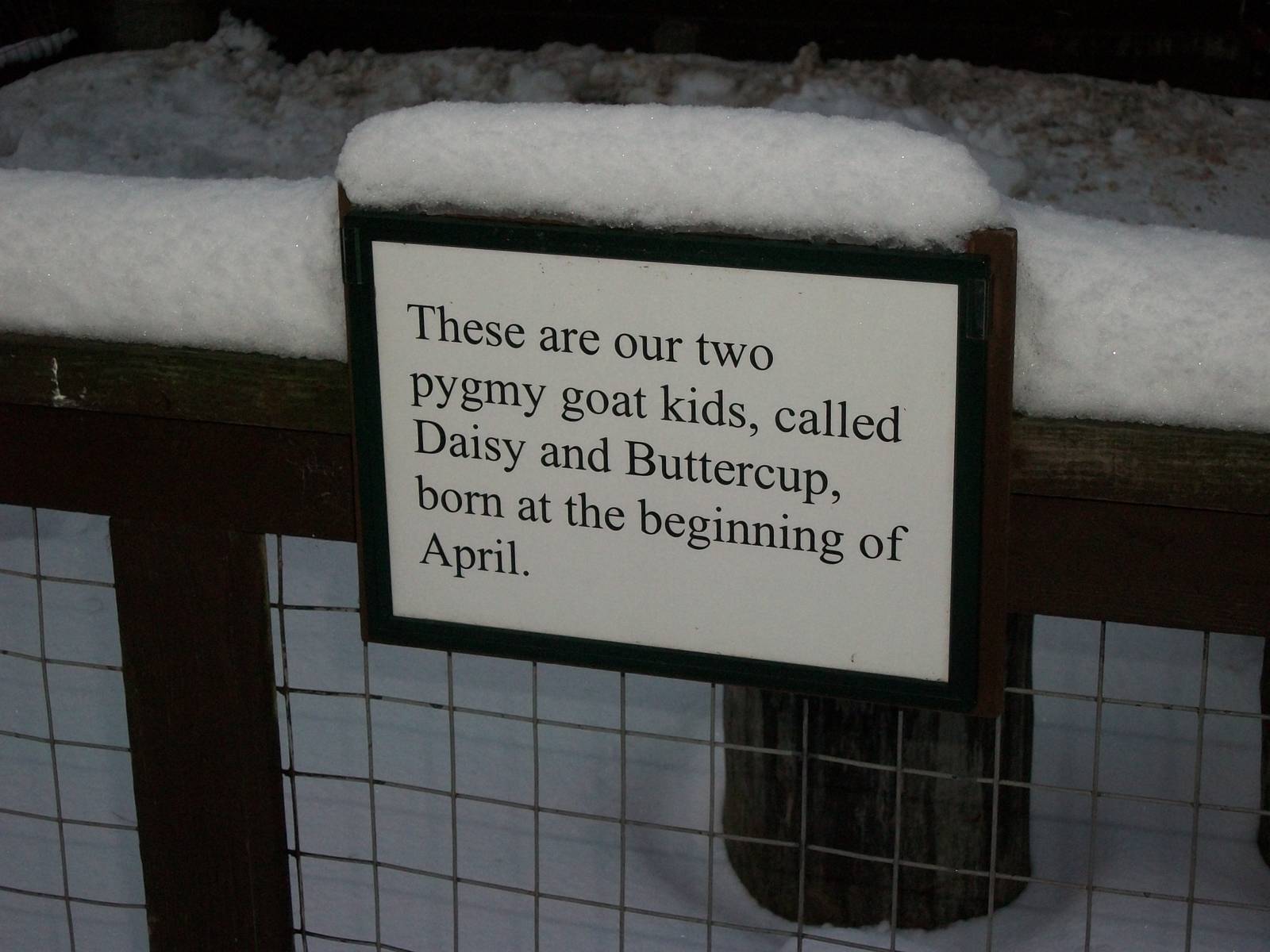 Sewerby Zoo, sign in small yard 5th February 2012