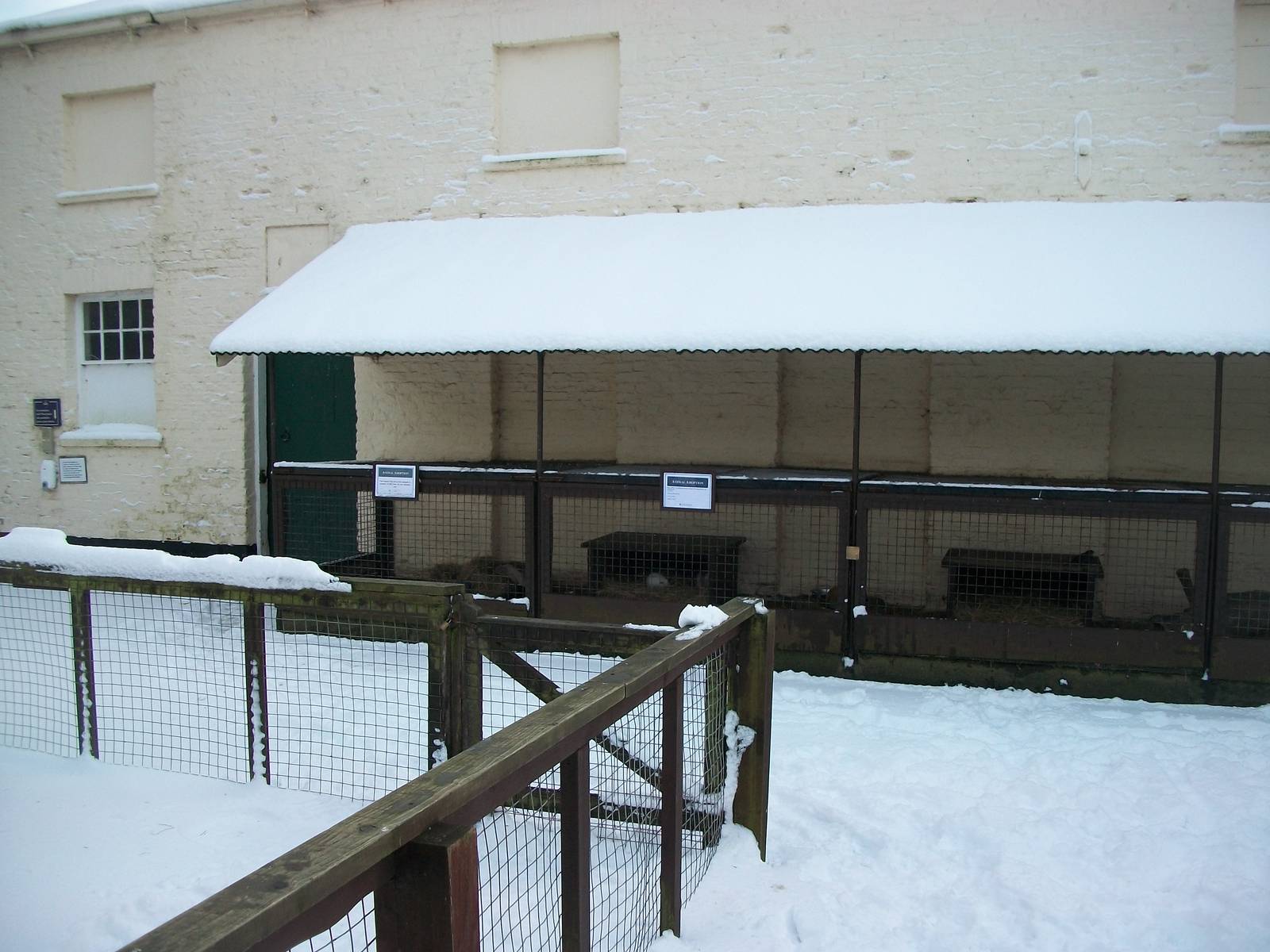 Sewerby Zoo, small yard 5th February 2012