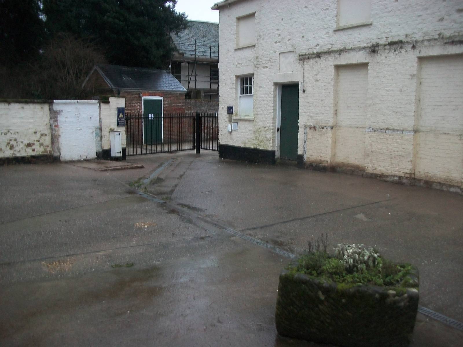 Sewerby Zoo, the yard is bare! 22nd December 2012