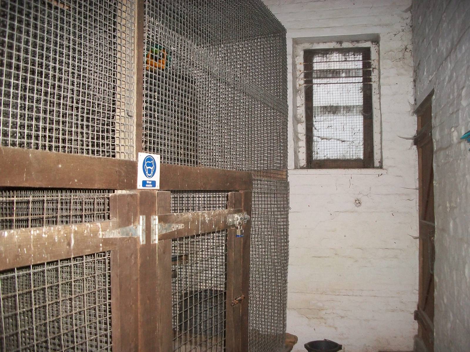 Sewerby Zoo, where the Bear snuffled 20th January 2013