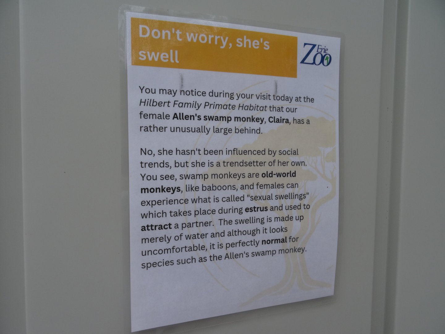 Sexual Swelling Signage