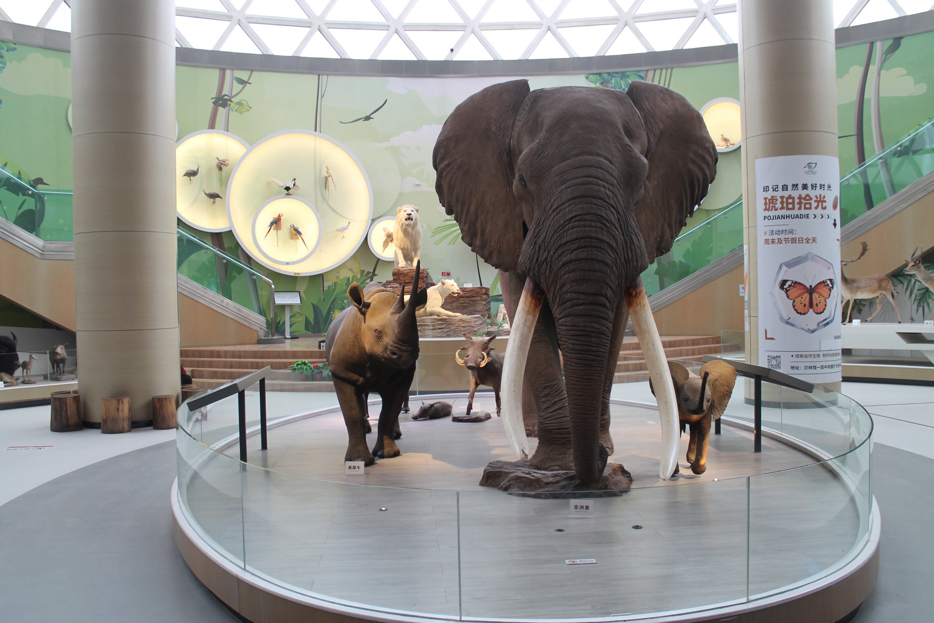 Shaanxi Nature Museum