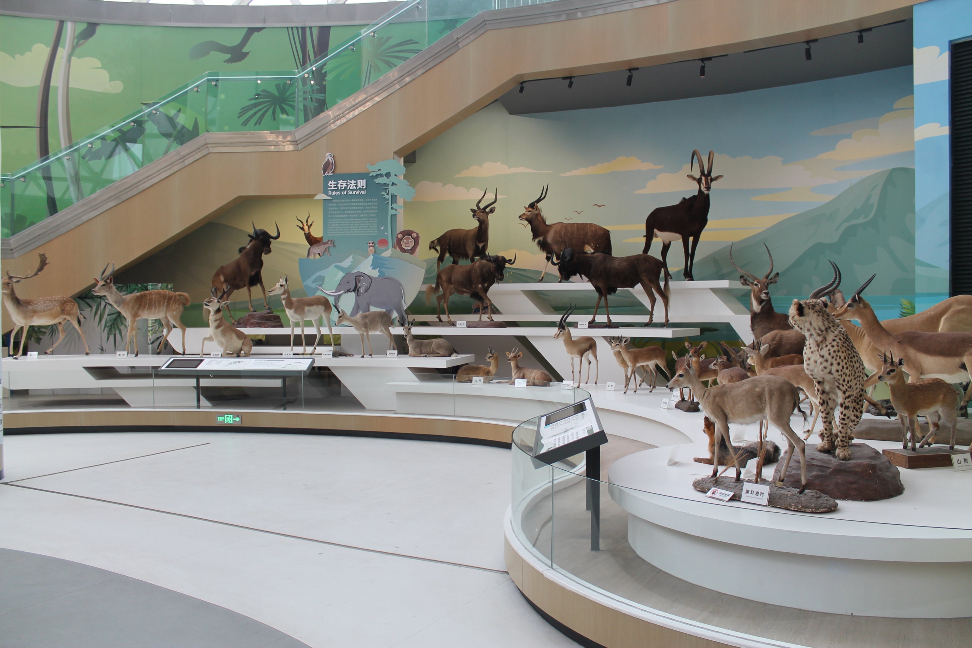 Shaanxi Nature Museum