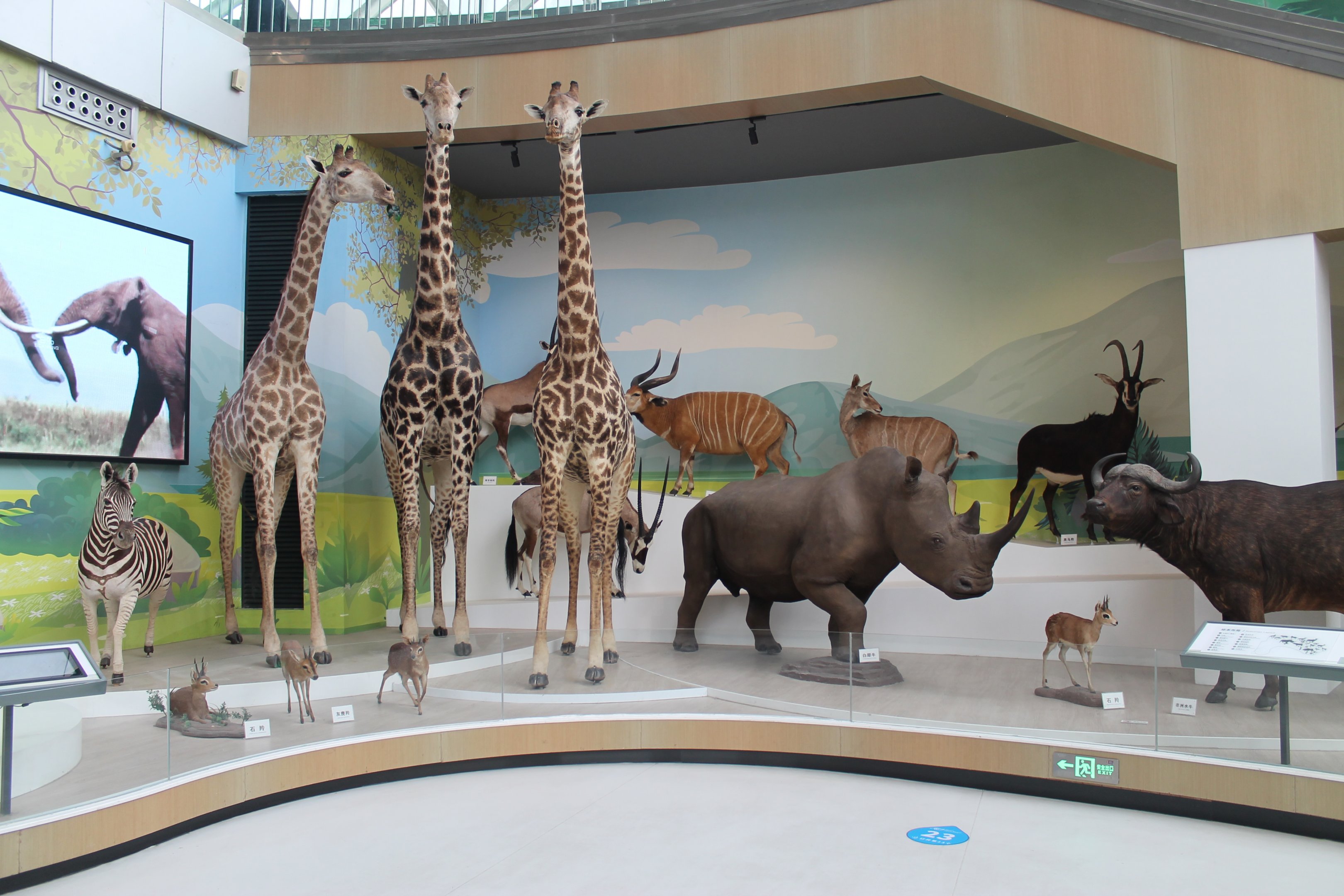 Shaanxi Nature Museum