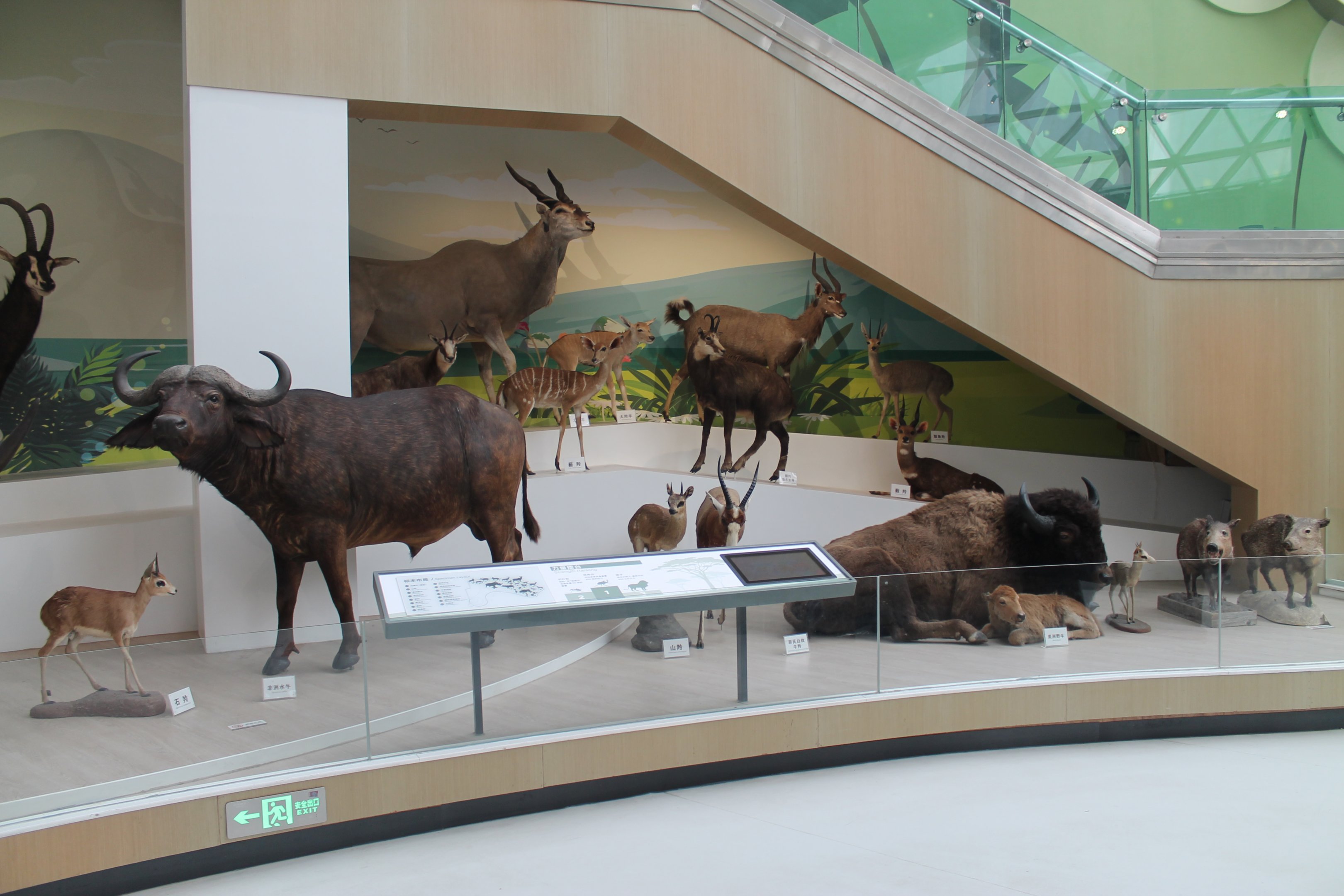 Shaanxi Nature Museum