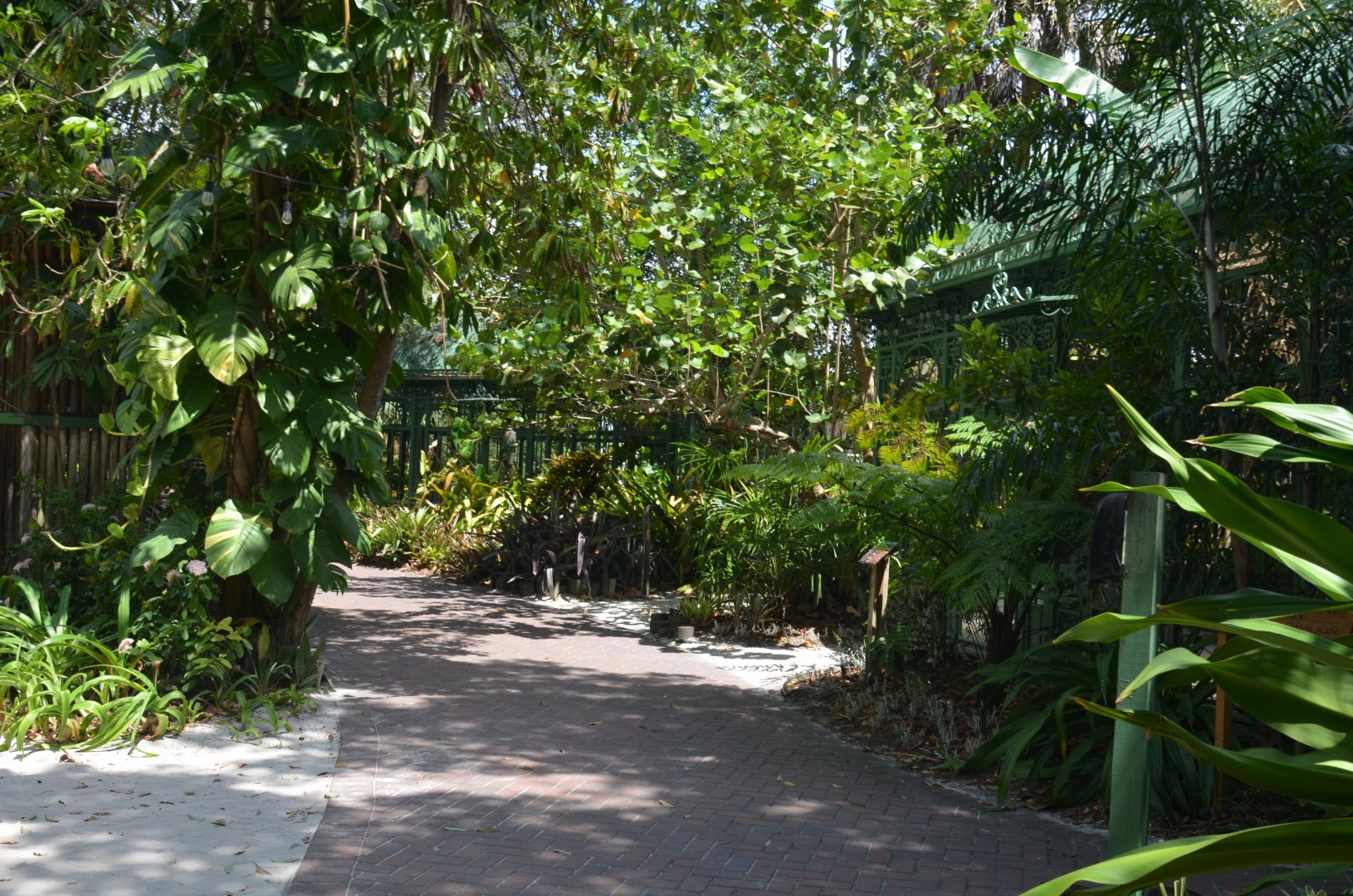 Shaded Area between aviaries