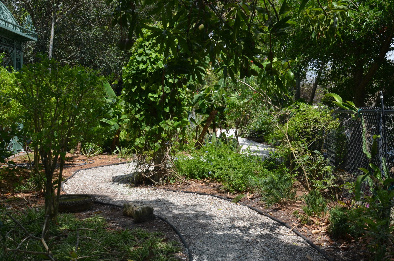 Shaded Gravel Pathway