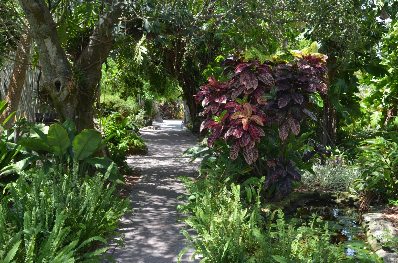 Shaded Gravel Pathway