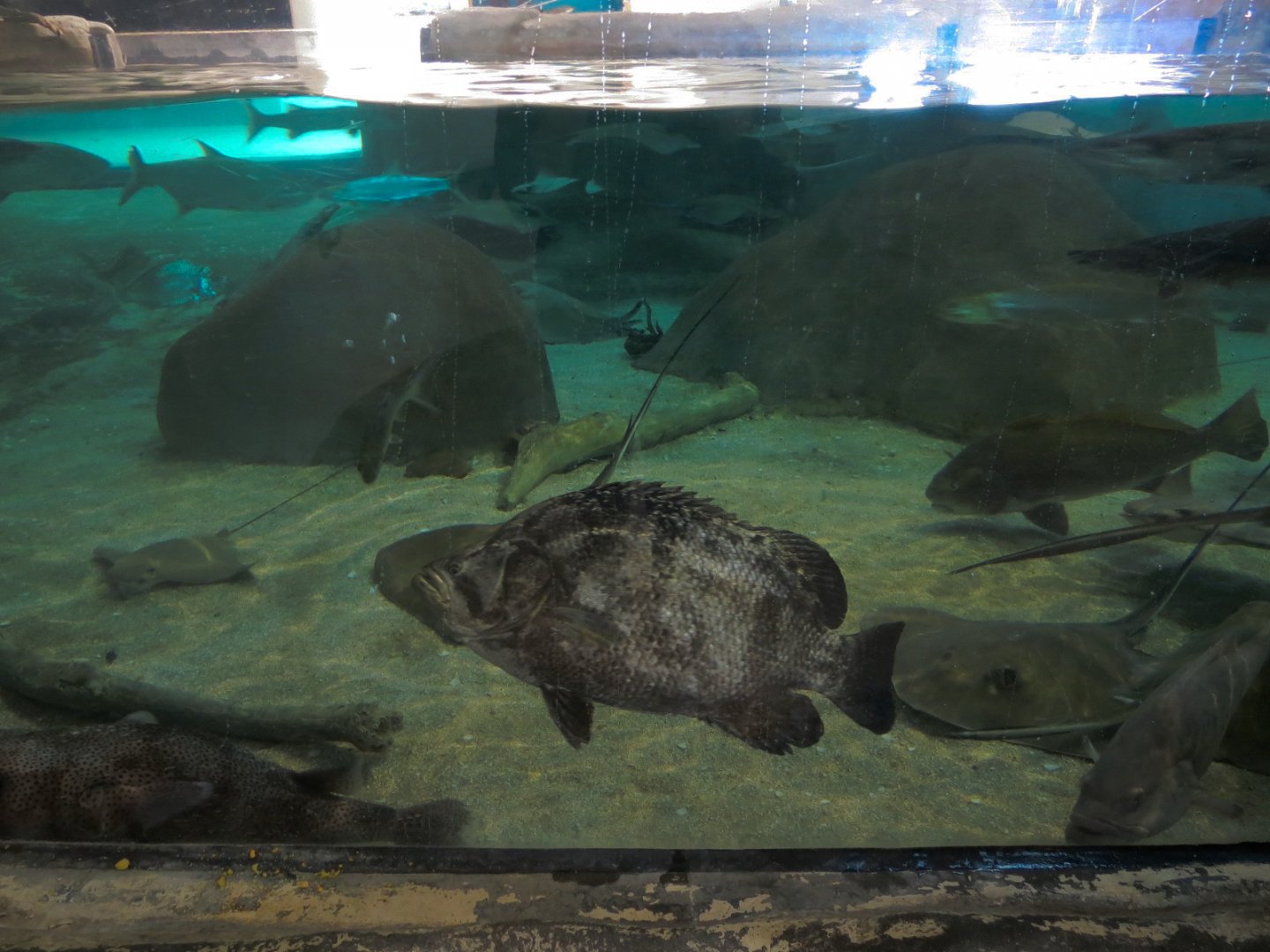 Shallows and Shores Exhibit