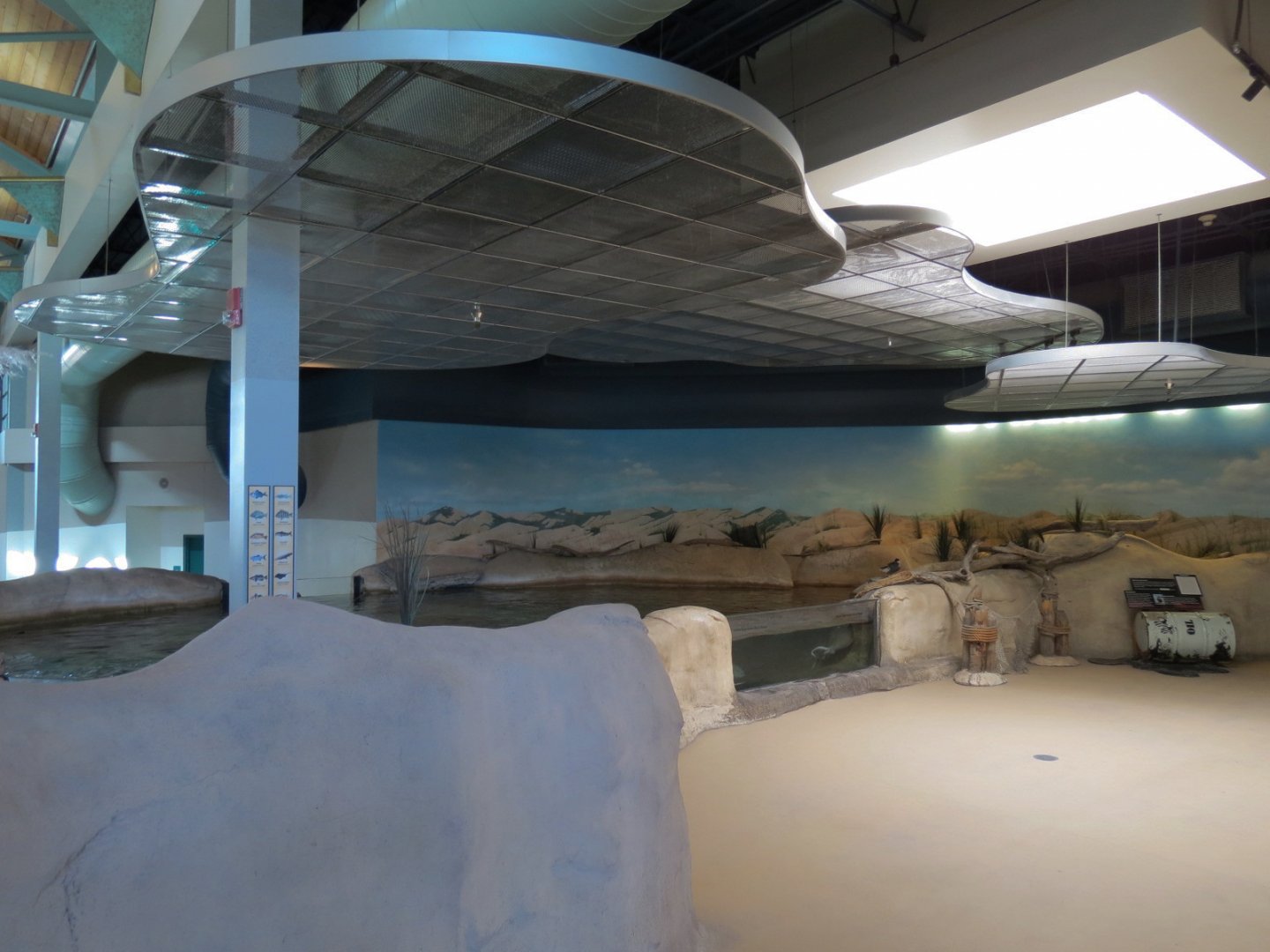 Shallows and Shores Exhibit