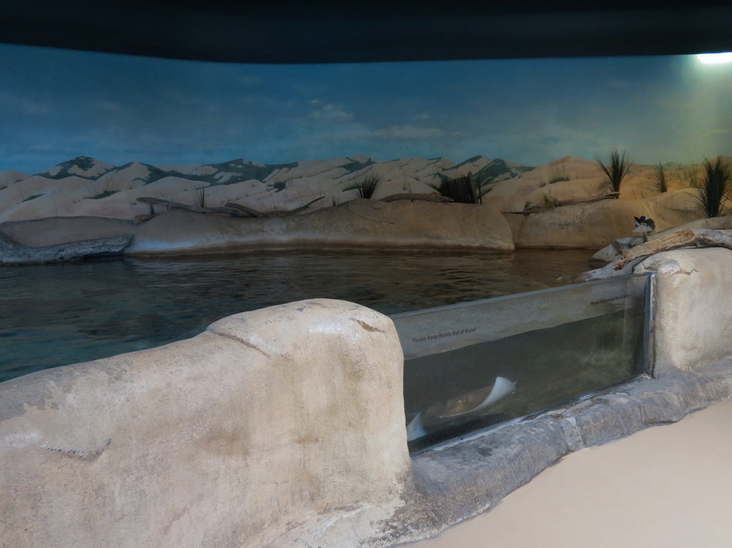 Shallows and Shores Exhibit