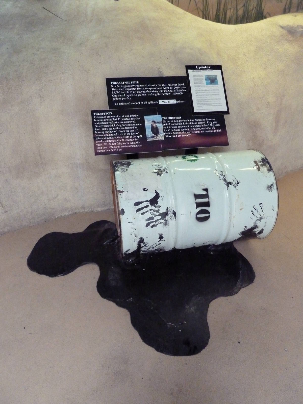 Shallows + Shores Exhibit (13 Species) - Oil Drum