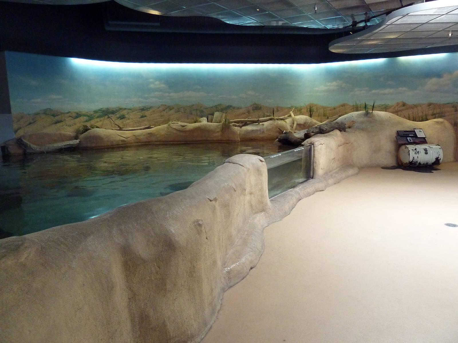 Shallows + Shores Exhibit (13 Species)