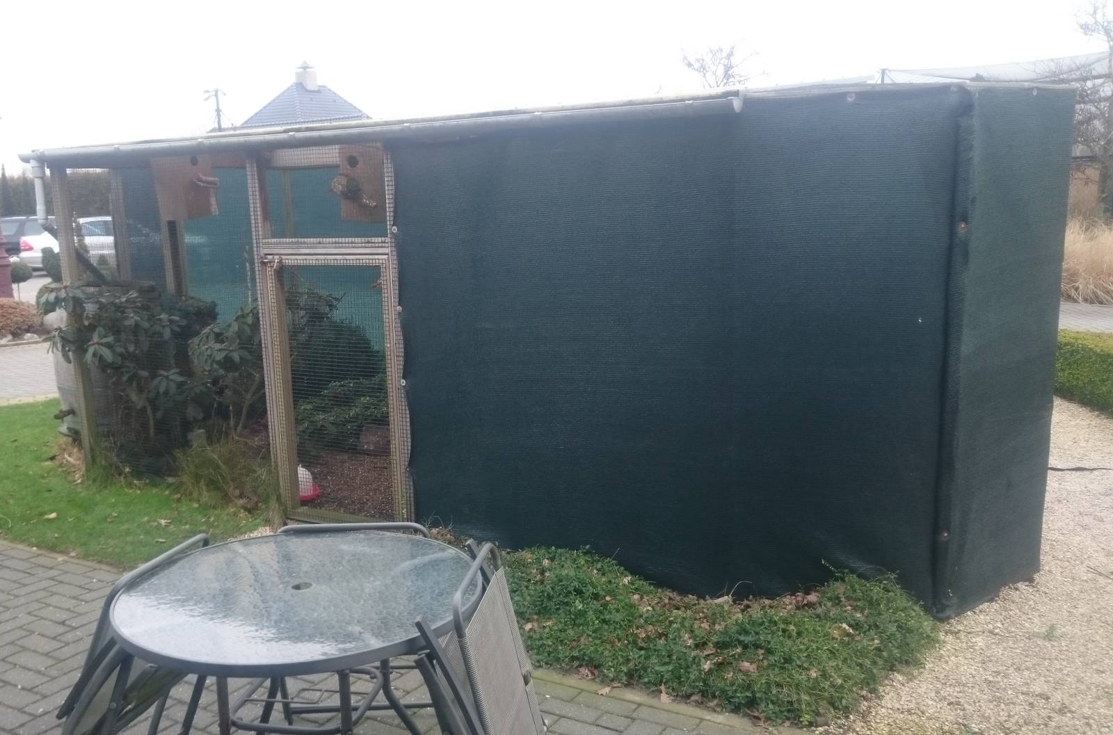 Shama and Hoopoe aviary