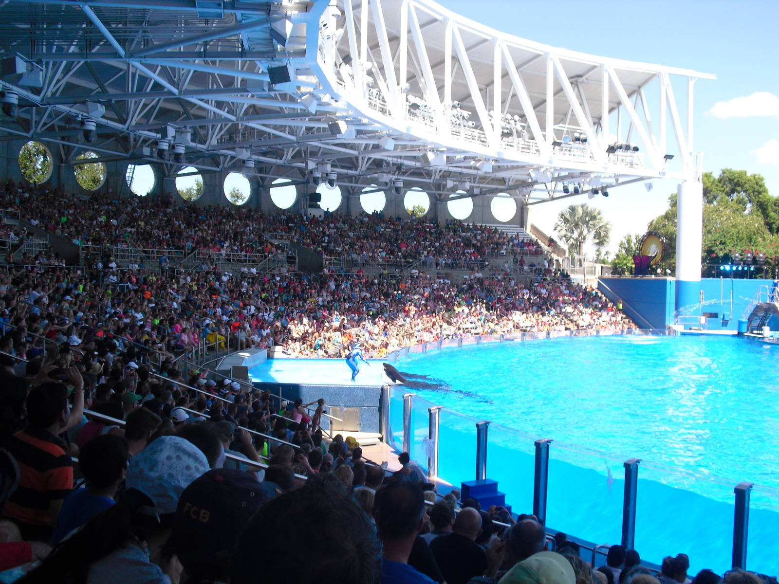 Shamu Stadium at SeaWorld Orlando