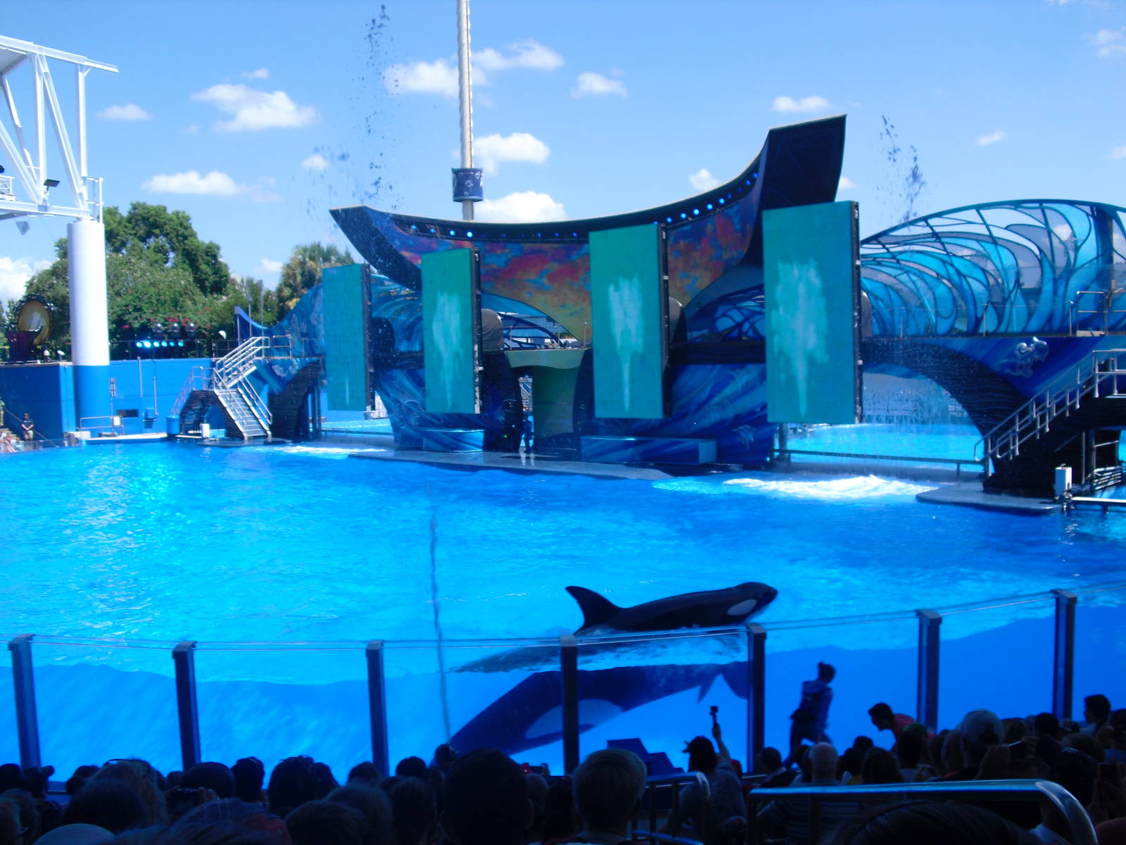 Shamu Stadium at SeaWorld Orlando